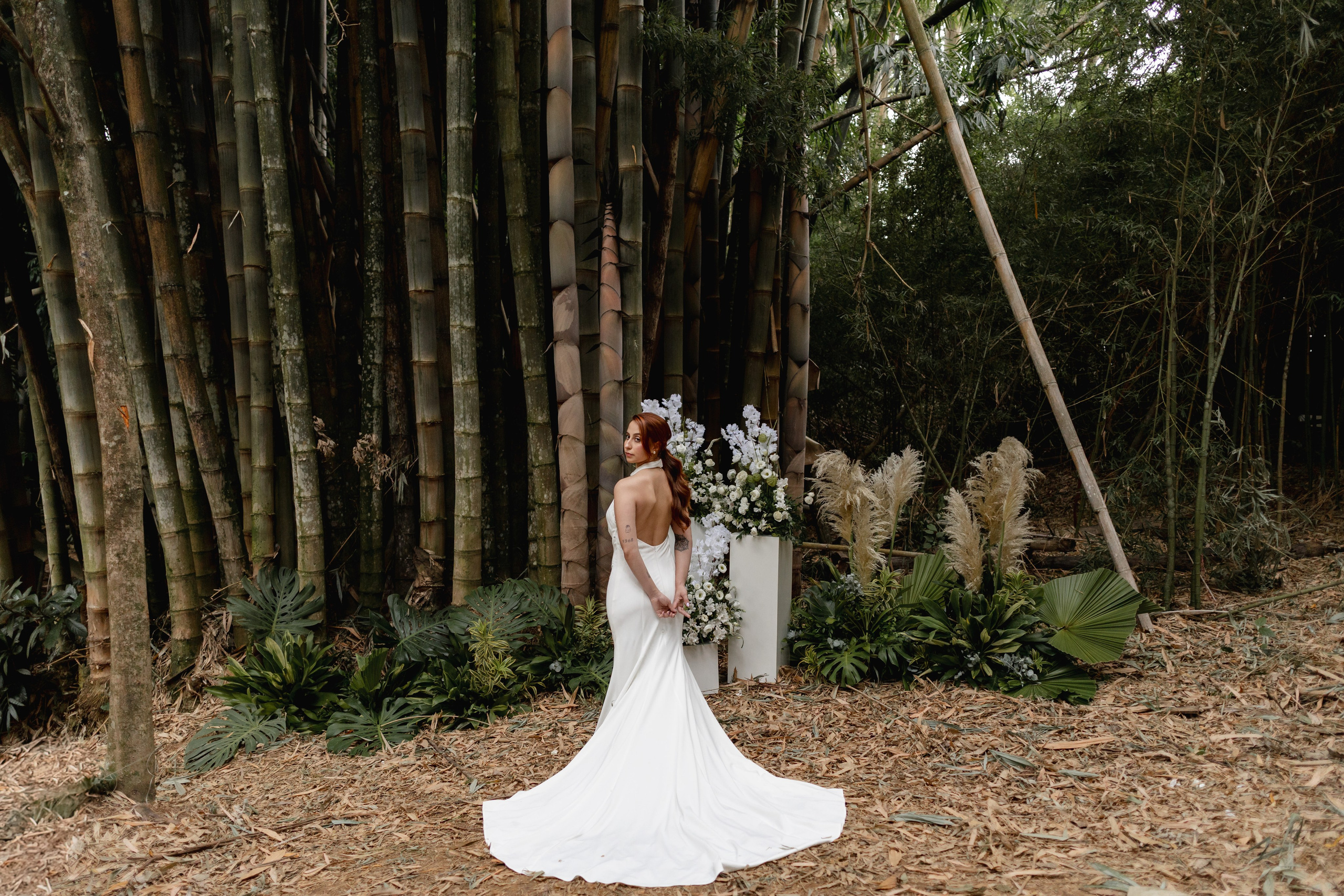 Editorial Dom Brunello