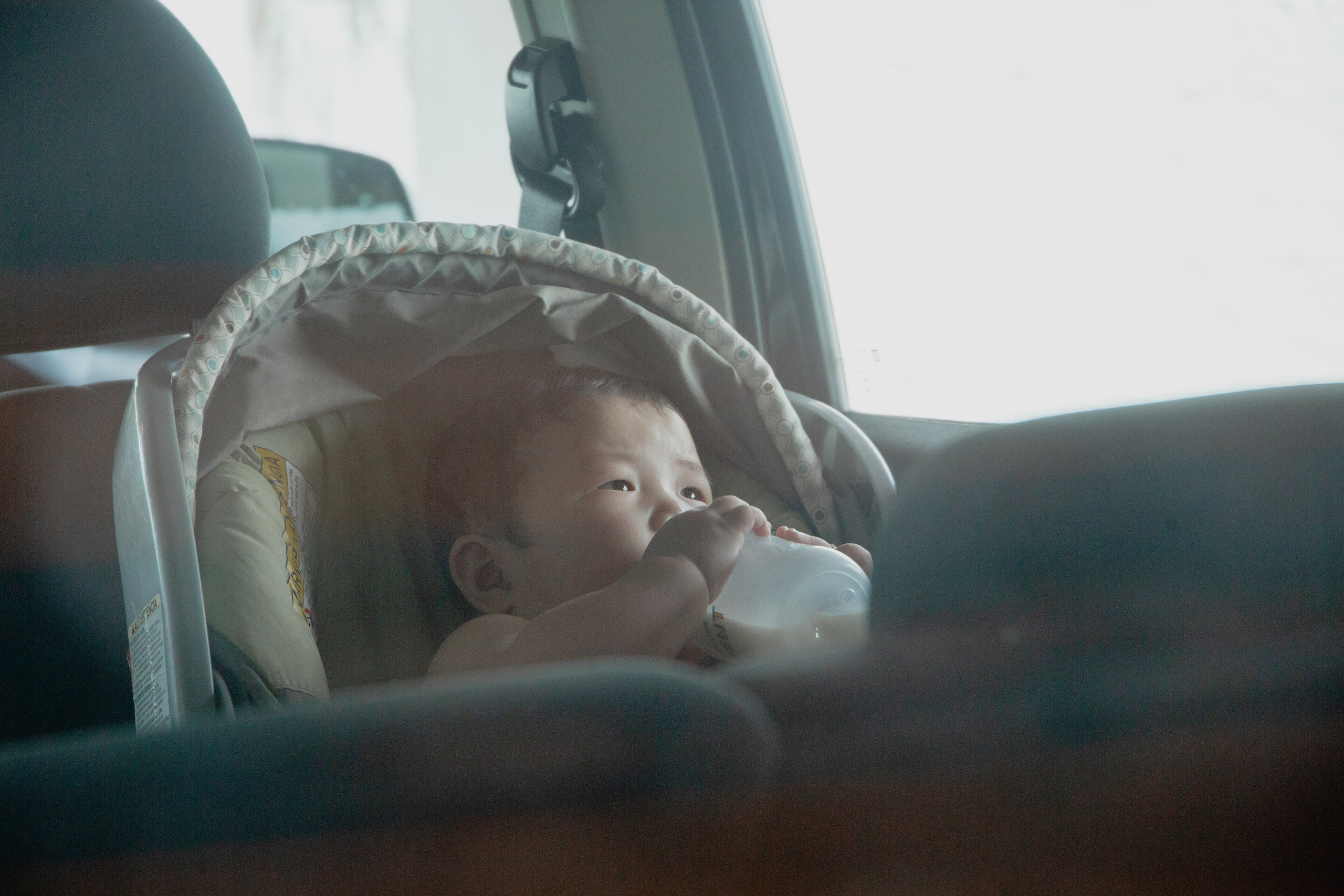 Documental Família Shimizu