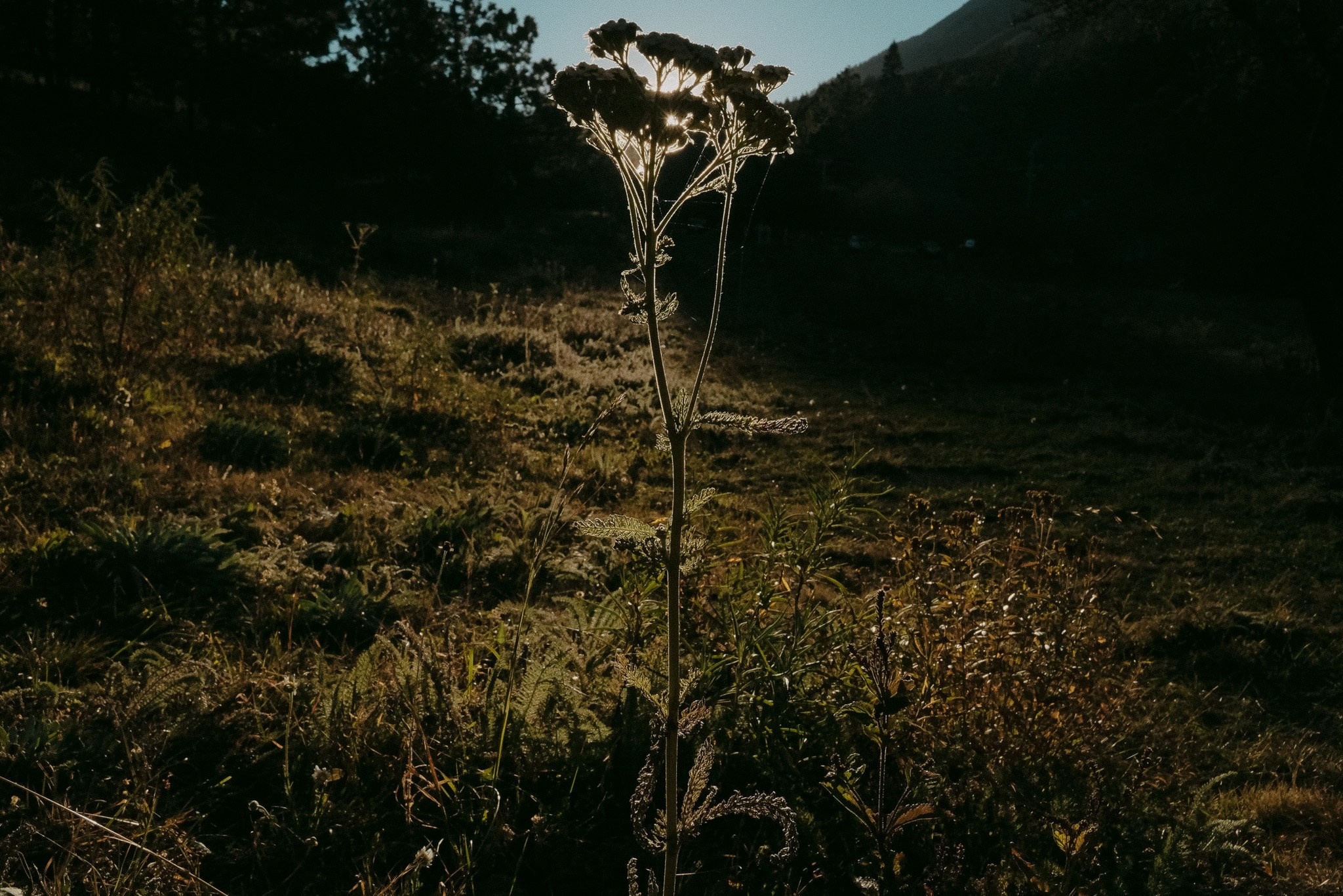 Jaqueline & Juan Pablo. Wedding and family photographer in Mexico City