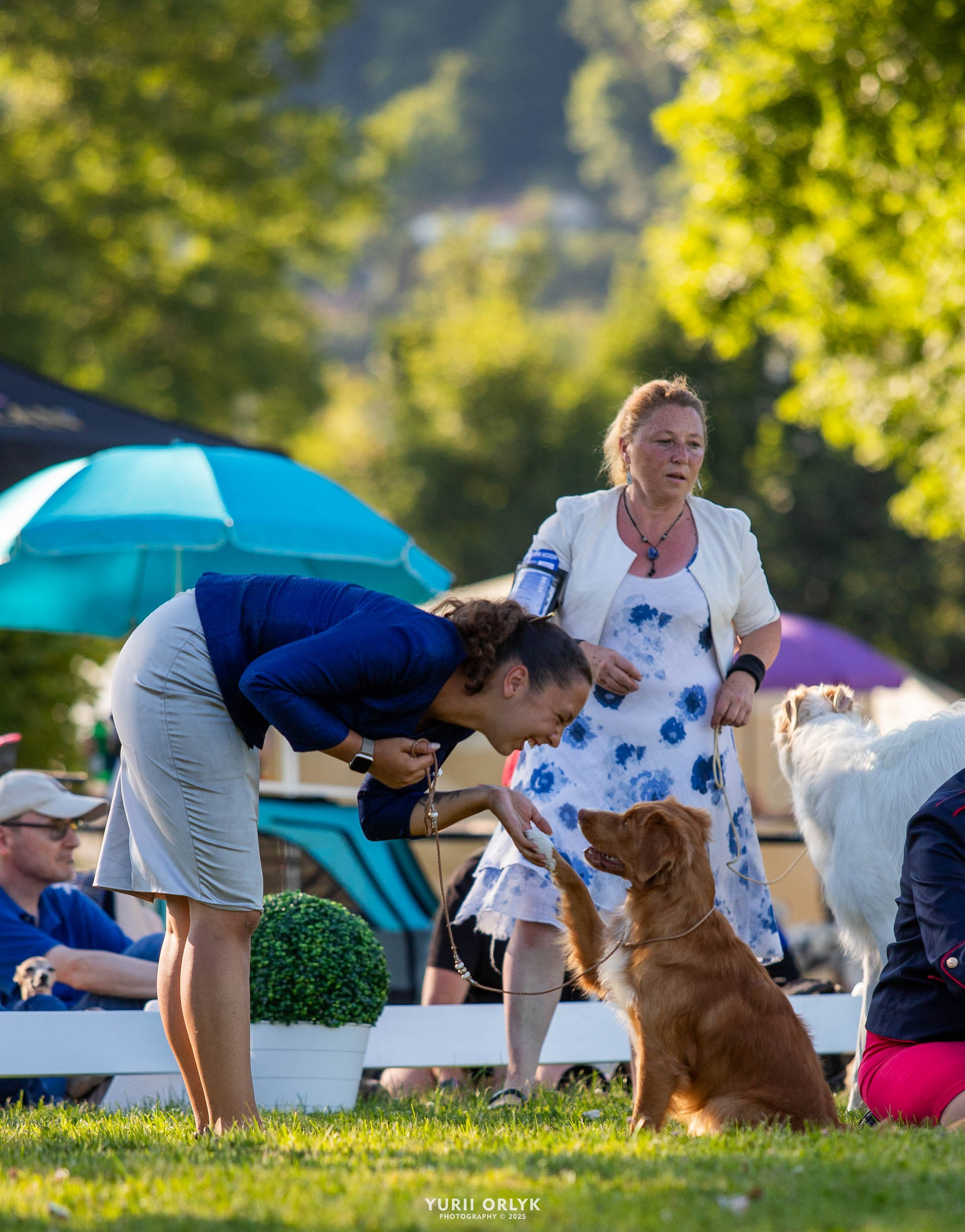 Dog Shows. Yurii Orlyk Photography