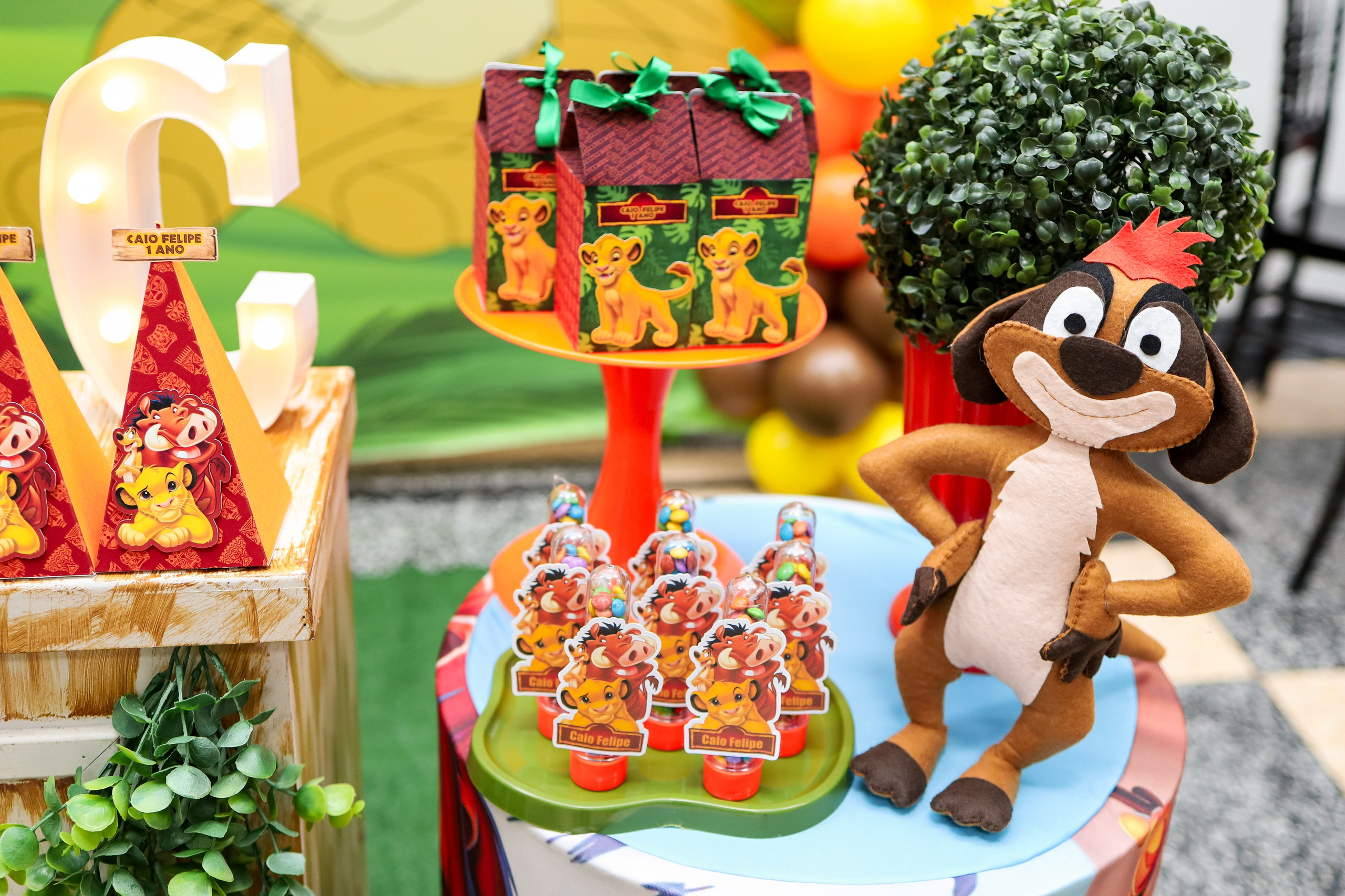 Festa Infantil. Fotógrafo de momentos Sagrados