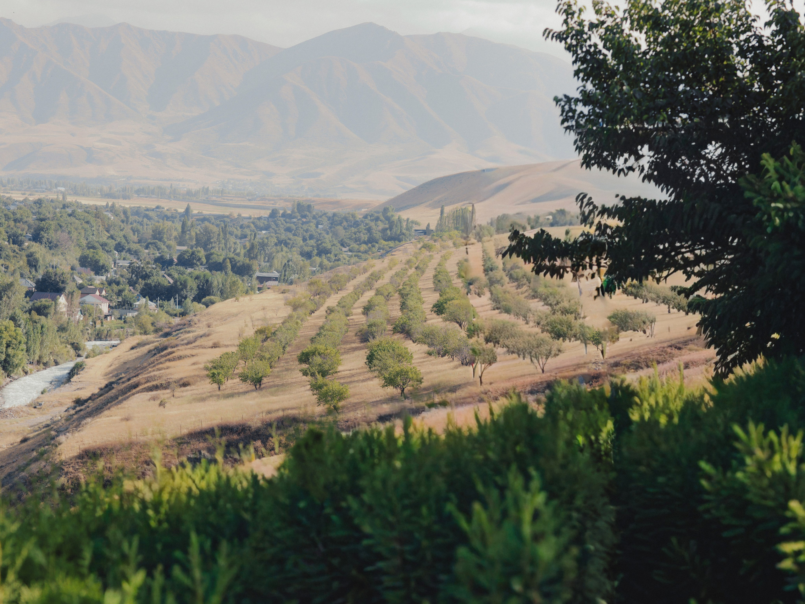 Счастливы. Валерия Вартанова. Фотограф