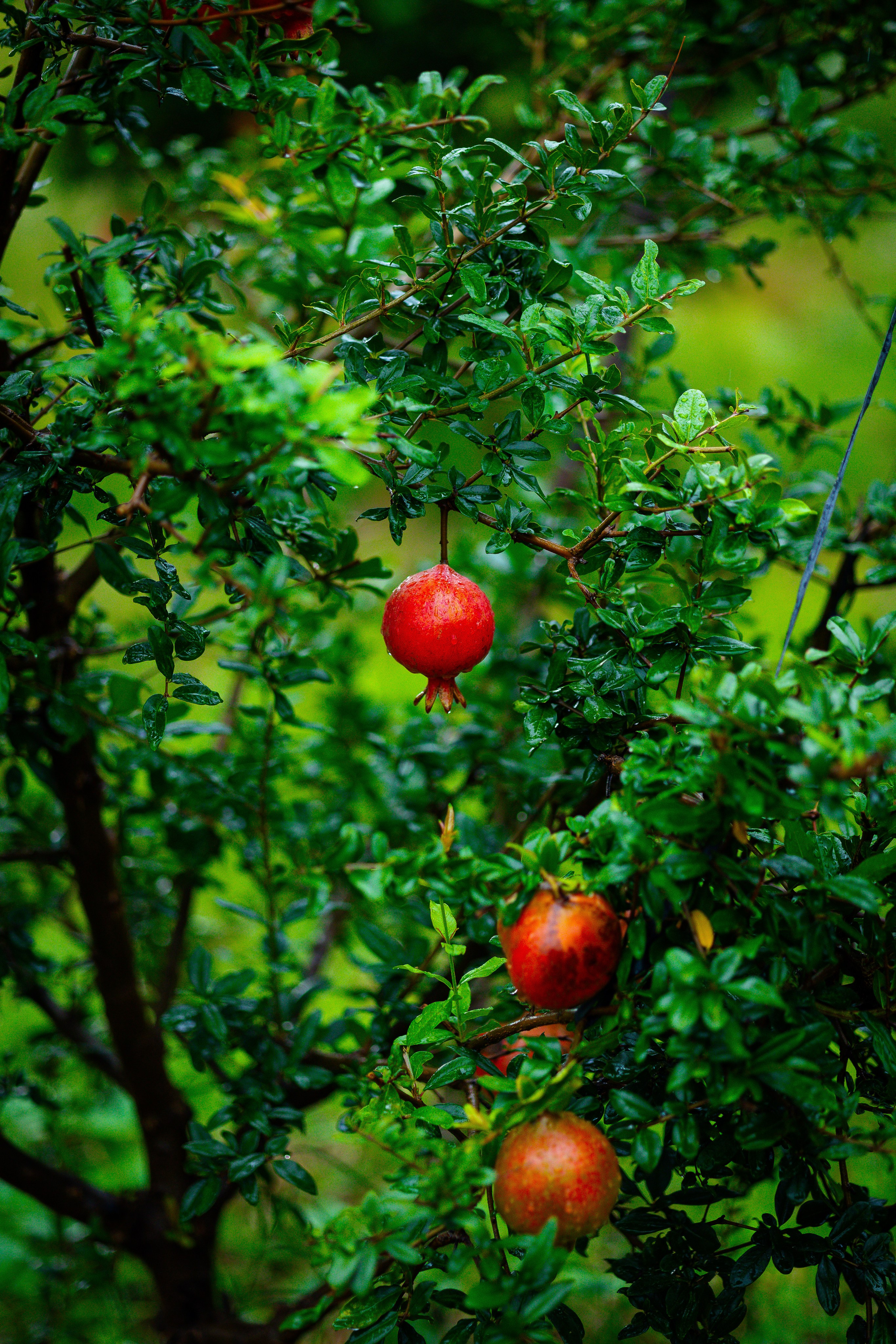 Real-Estate Photography Horamavu. JDR Productions: Professional Wedding, Real-Estate, Maternity, Event Photography and Videography in Horamavu, Bengaluru, Karnataka