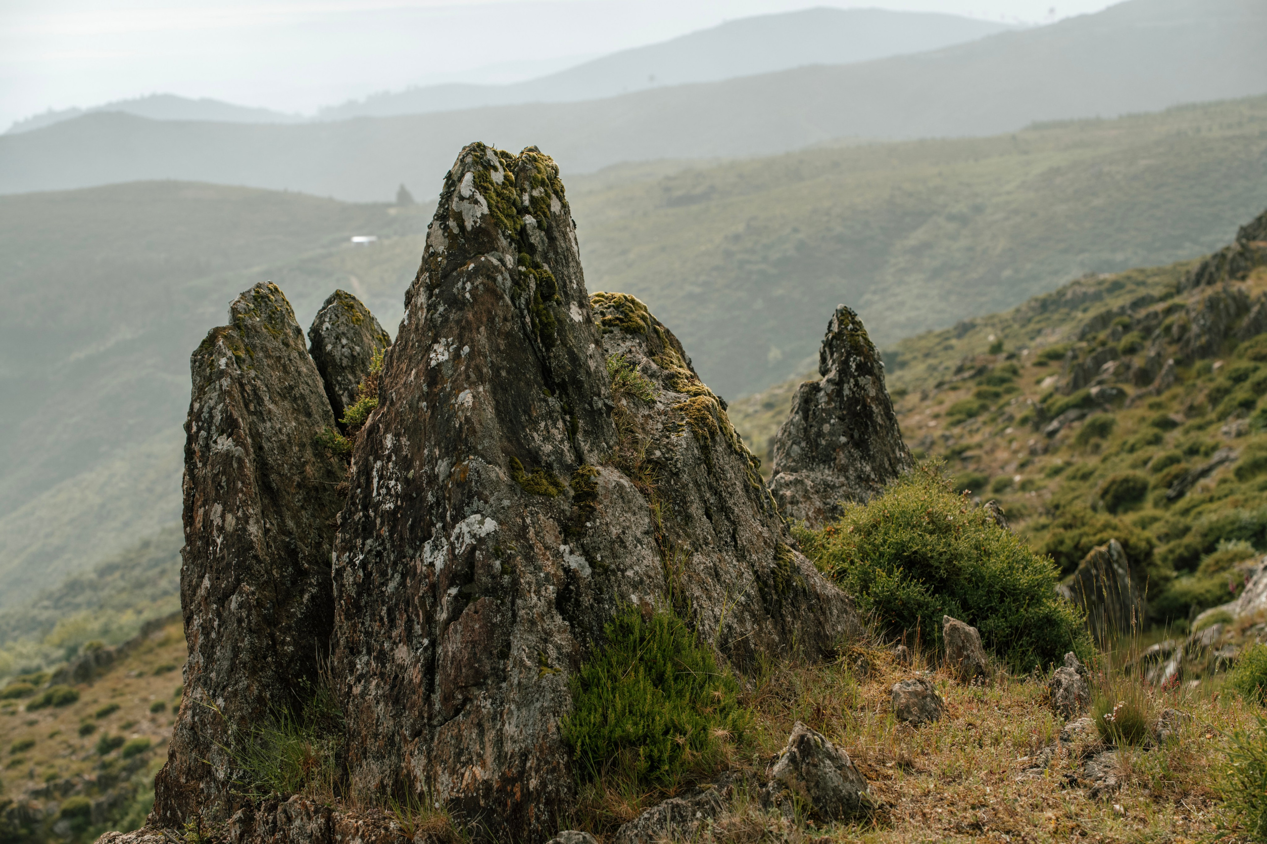 SOFIA and VALTER. Arouca. Anastasiia Antoniuk portrait, family and couple photographer, Portugal