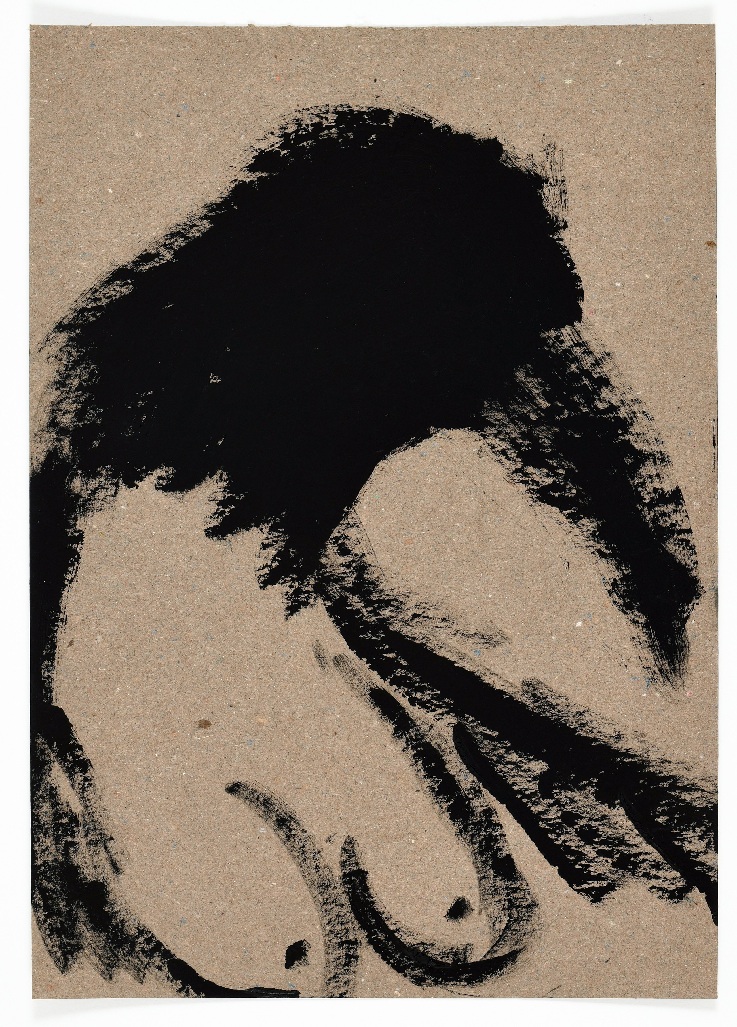 Birds and rats, 2020. Haim Sokol’s artists website