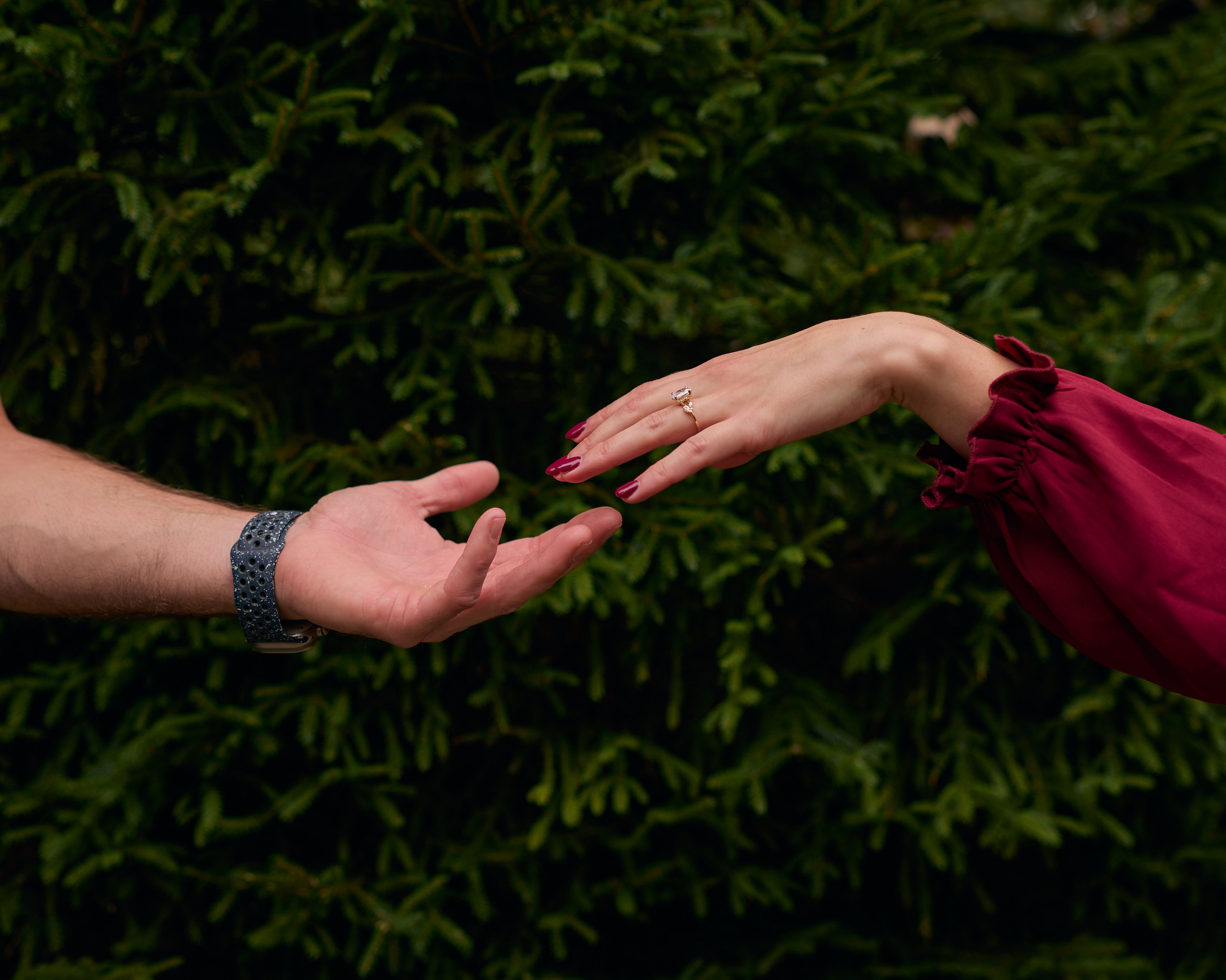 Surprise Proposal at Inniswood Metro Gardens | Kovyphoto