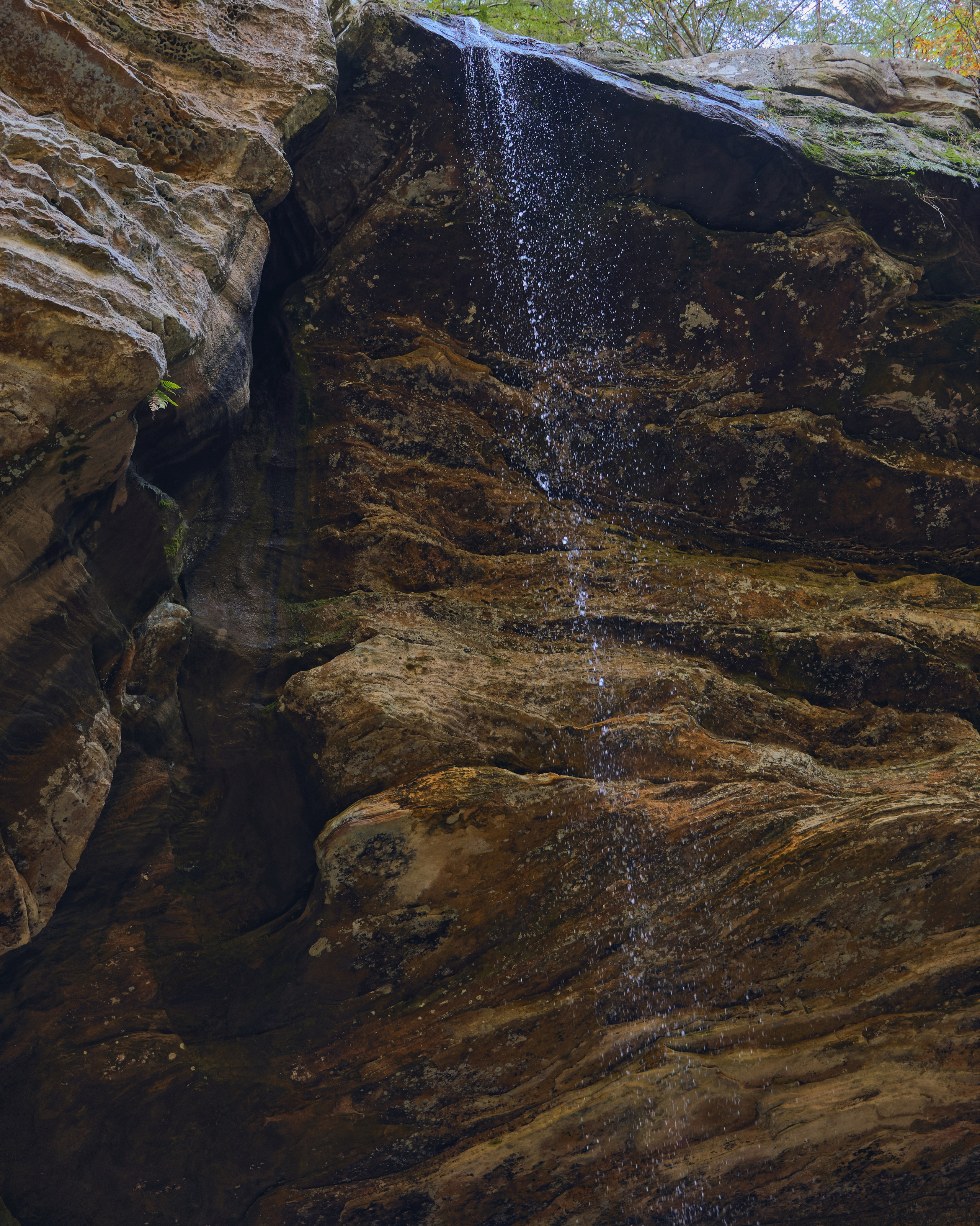 Ash Cave Proposal | Hocking Hills Ohio Proposal Photographer