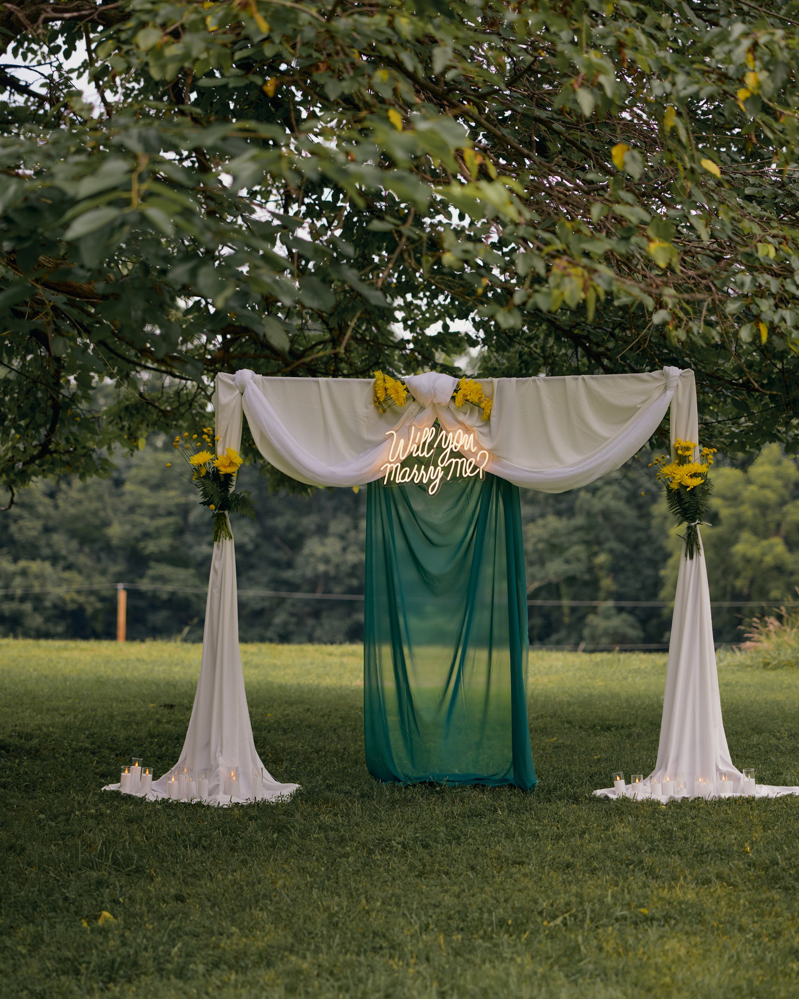 Hocking Hills Proposal Photographer | Romantic Ohio Proposal