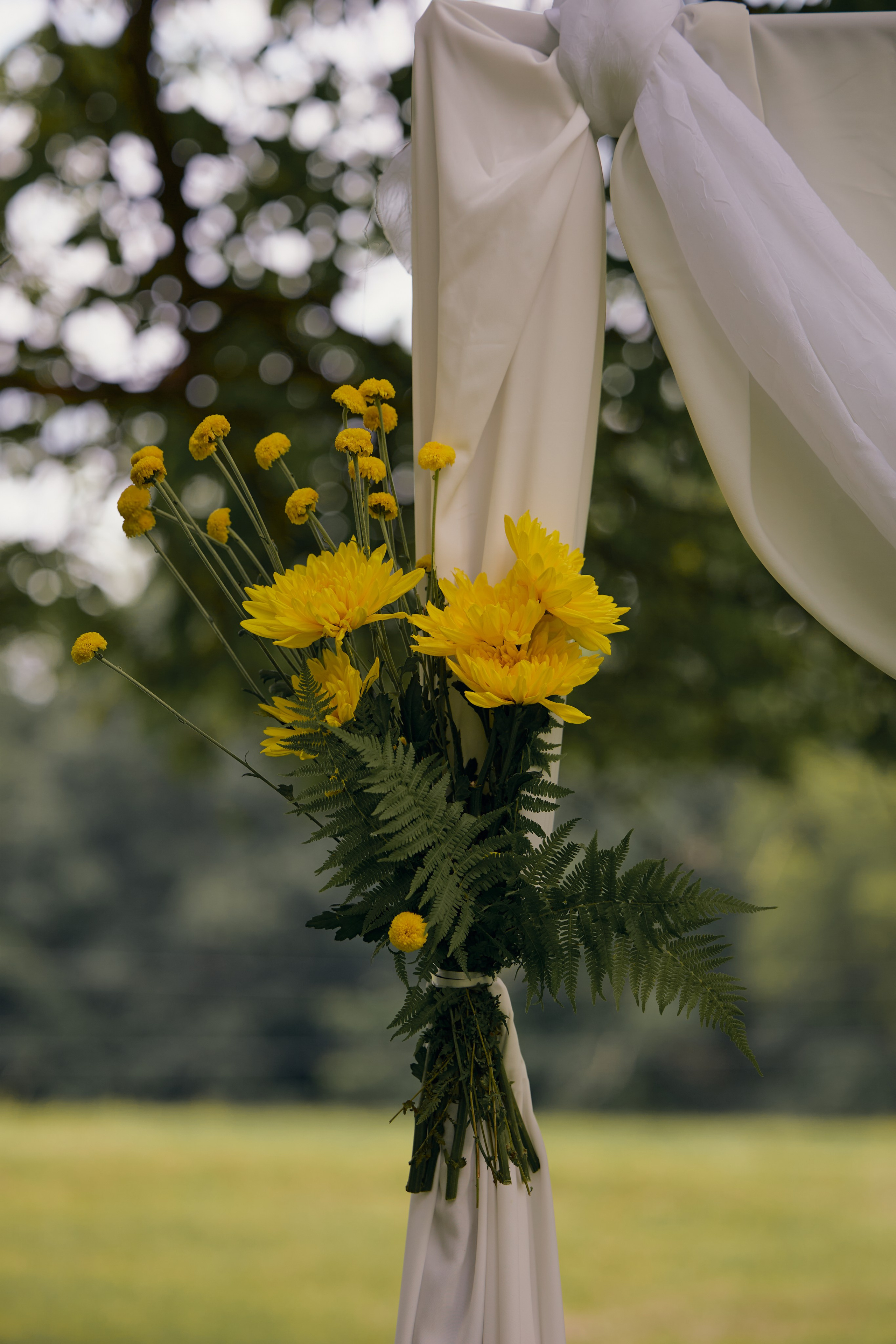 Hocking Hills Proposal Photographer | Romantic Ohio Proposal