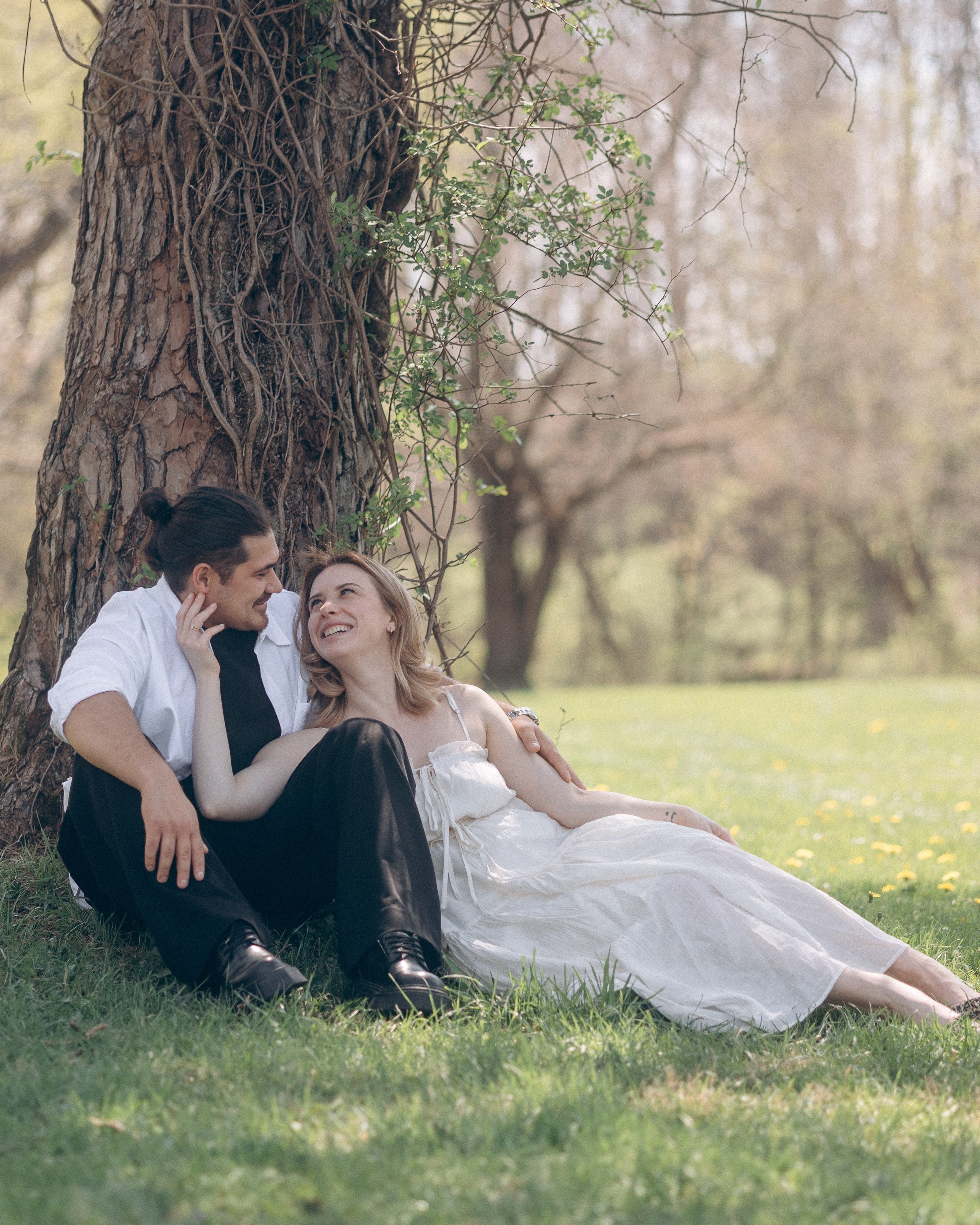 Couple sitting together beneath a large tree near Hoover Reservoir, Ohio