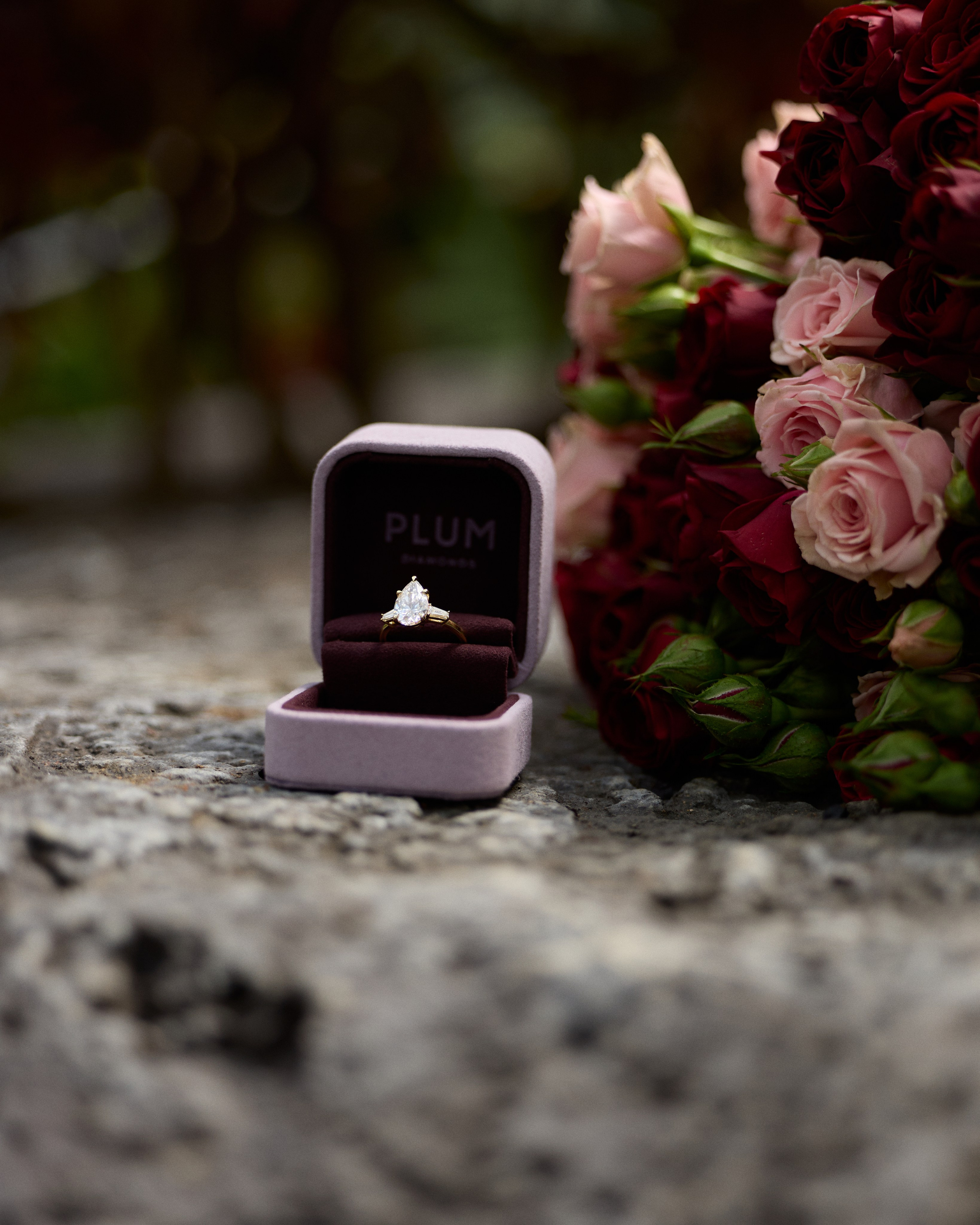 Franklin Park Conservatory Proposal Photographer | Columbus Ohio