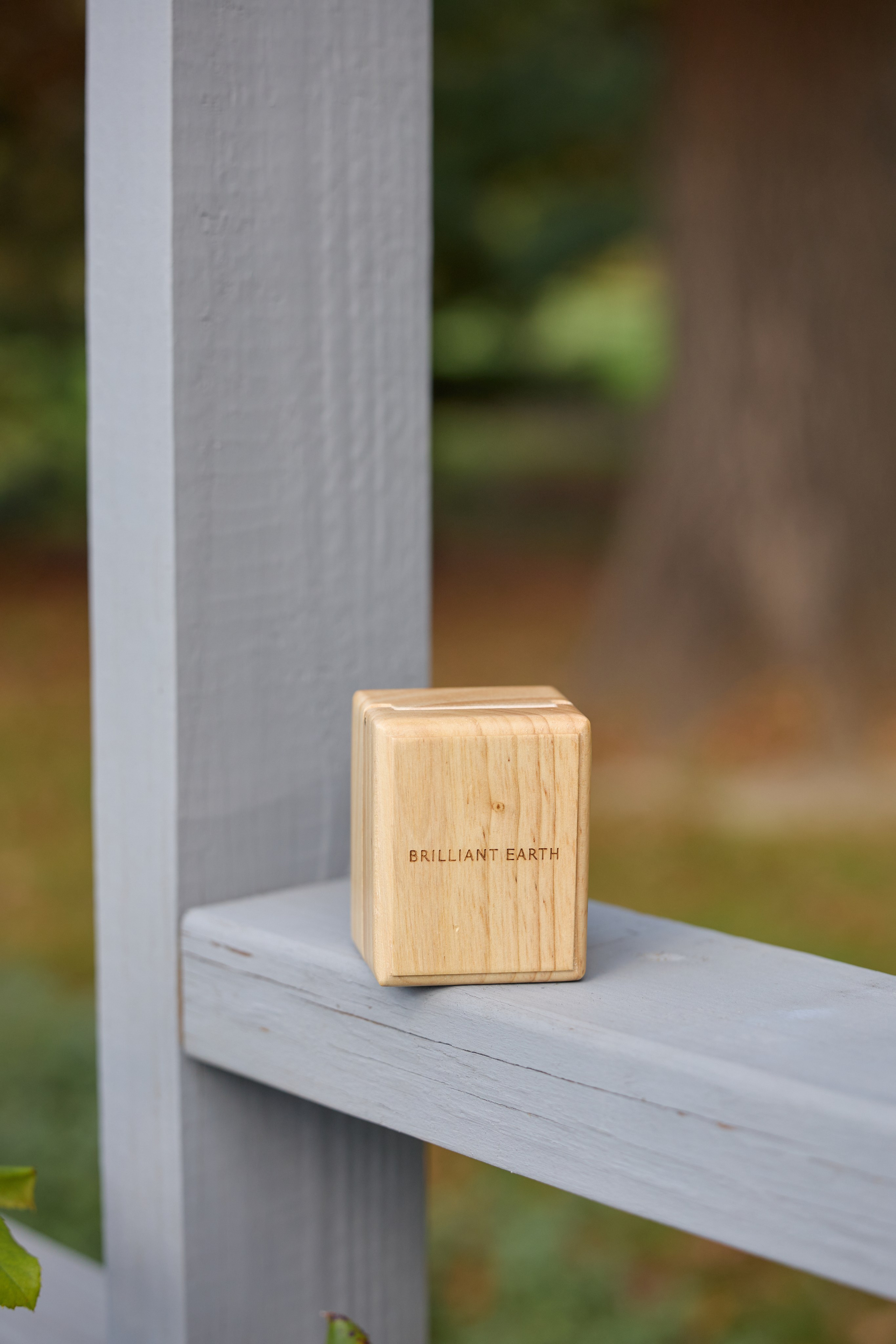 Inniswood Metro Gardens Gazebo Proposal | Westerville Ohio Photographer