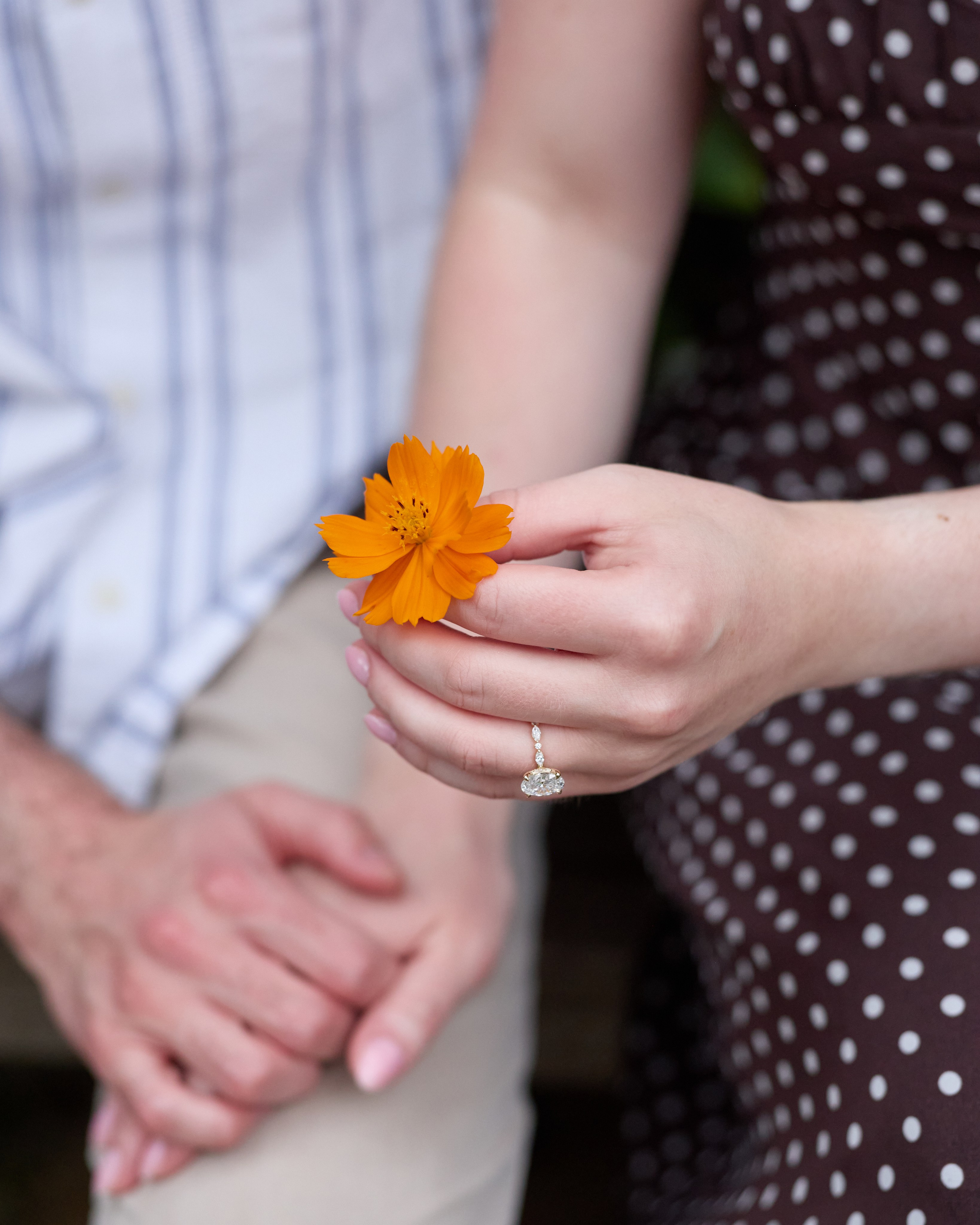 Inniswood Surprise Proposal | Columbus Ohio Photographer