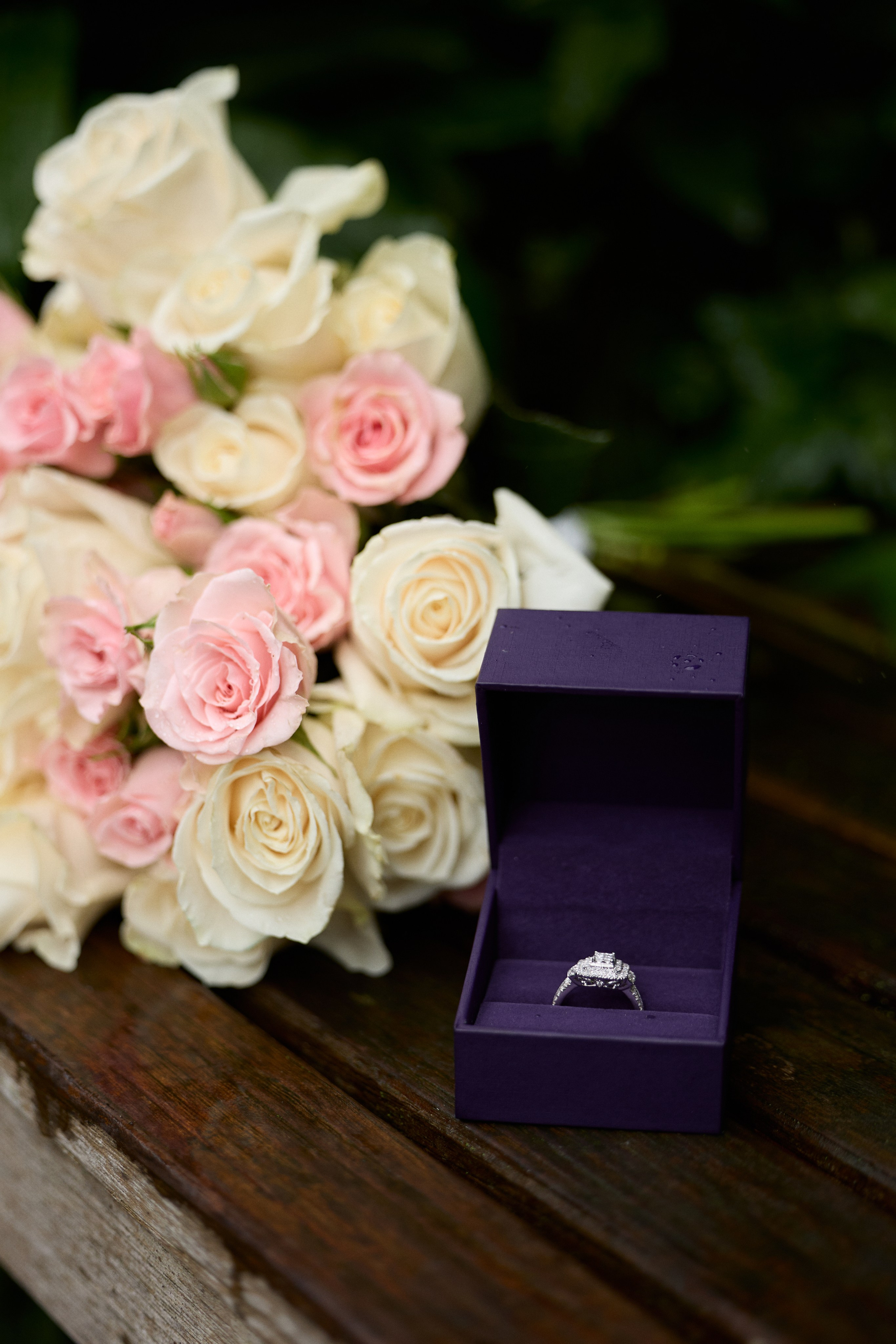 Proposal Photographer Columbus Ohio | Kovyphoto  Surprise proposal photographer in Columbus, Ohio. Proposal Photographer Columbus Ohio | Kov