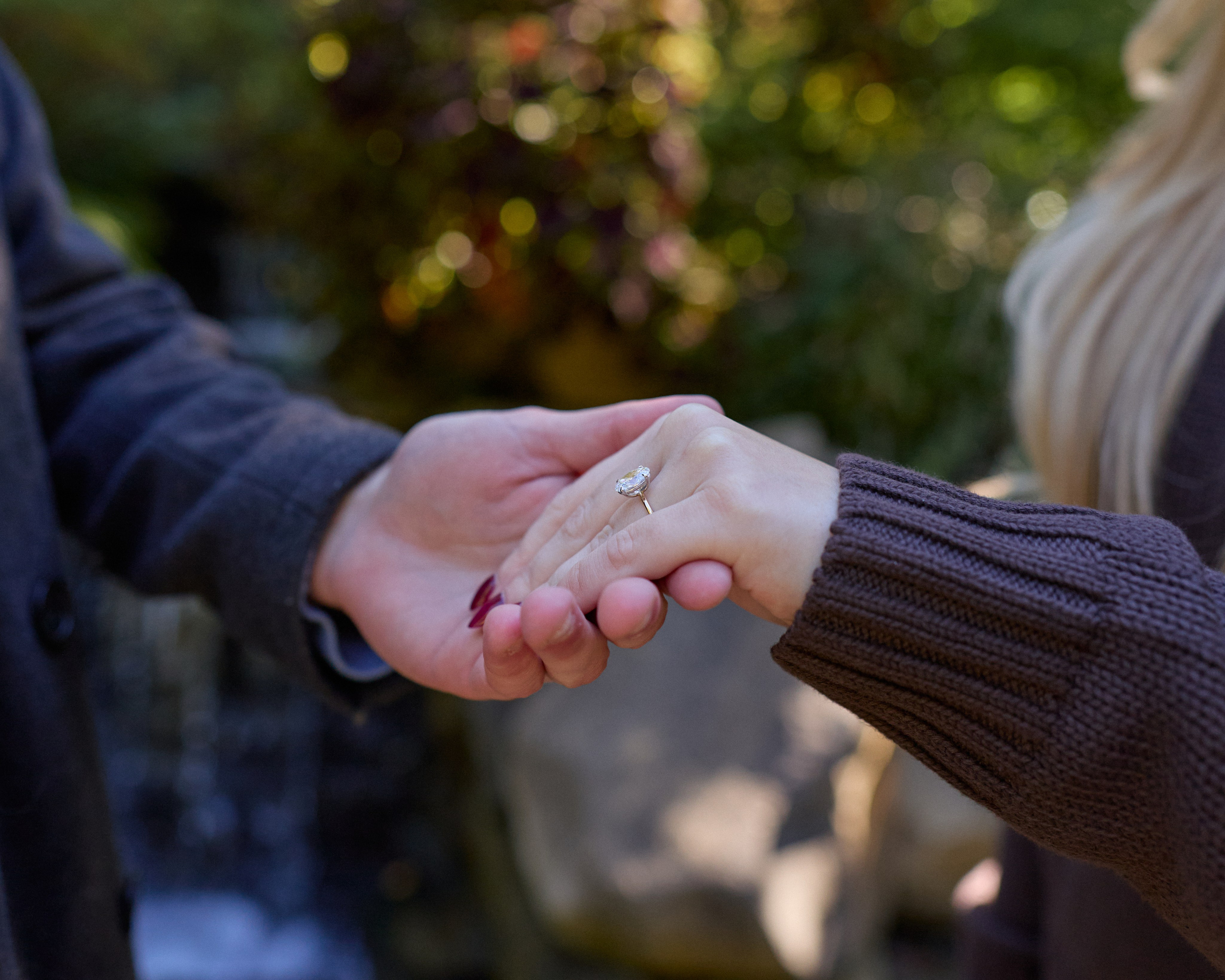 Inniswood Waterfall Proposal | Columbus Ohio Photographer