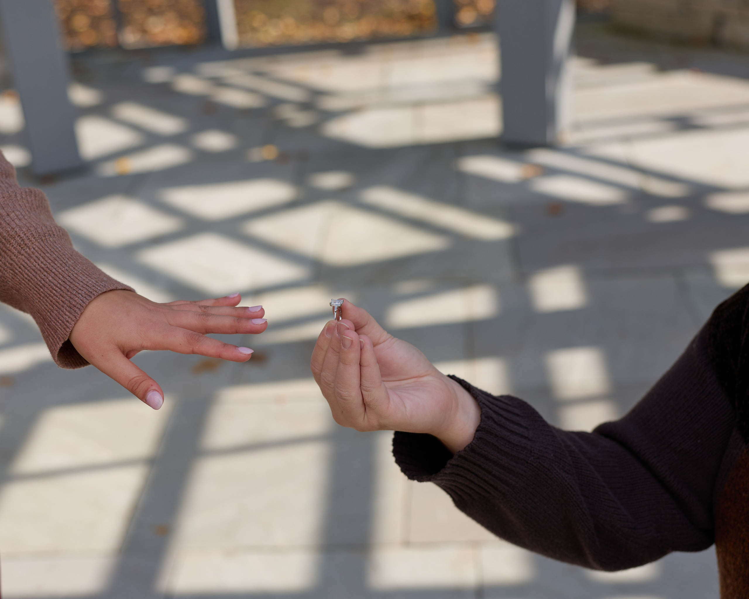 Inniswood Metro Gardens Gazebo Proposal | Westerville Ohio Photographer