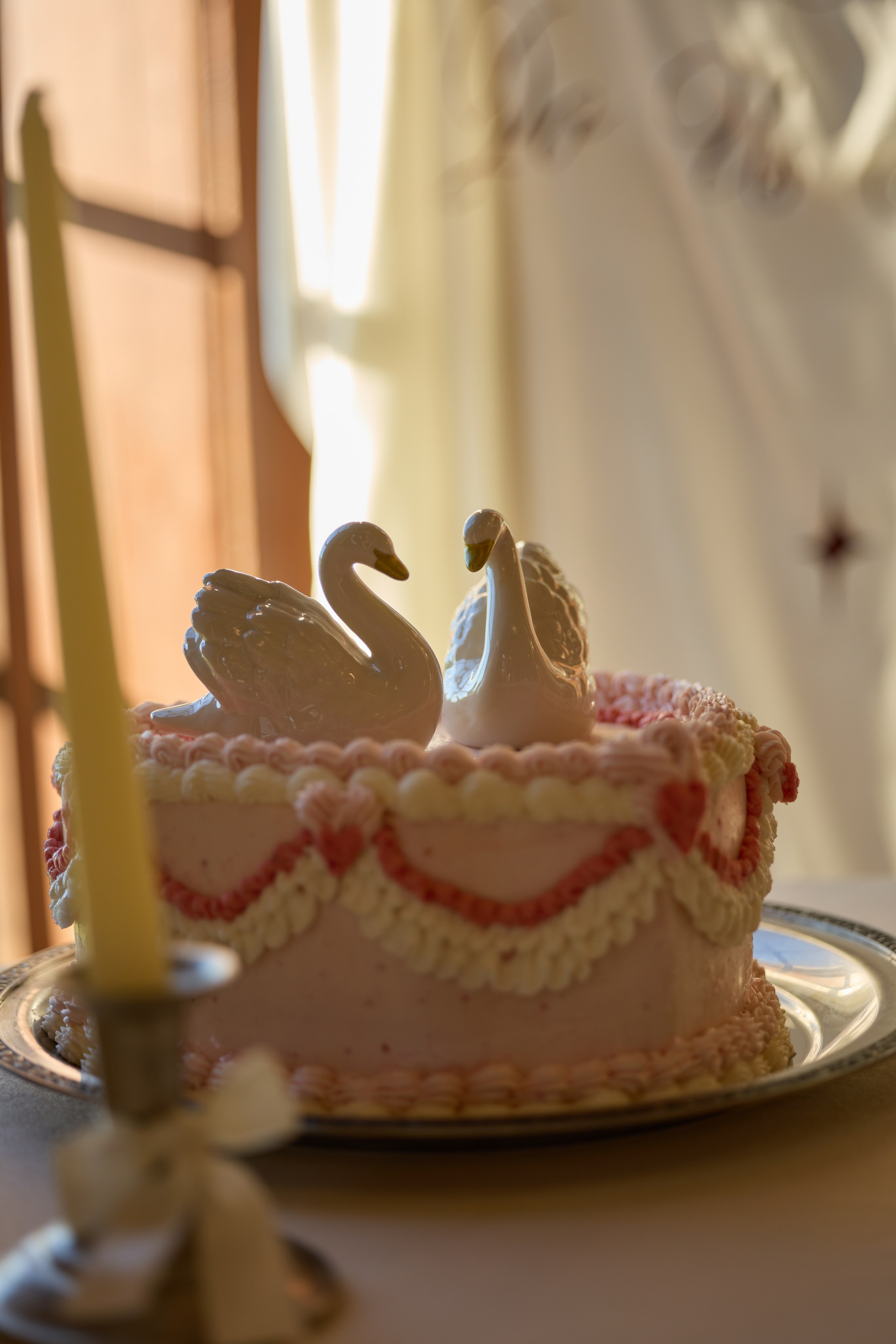 Charlie & Ryann Mini wedding, Dublin. Columbus Proposal & Wedding Photographer | Kovyphoto