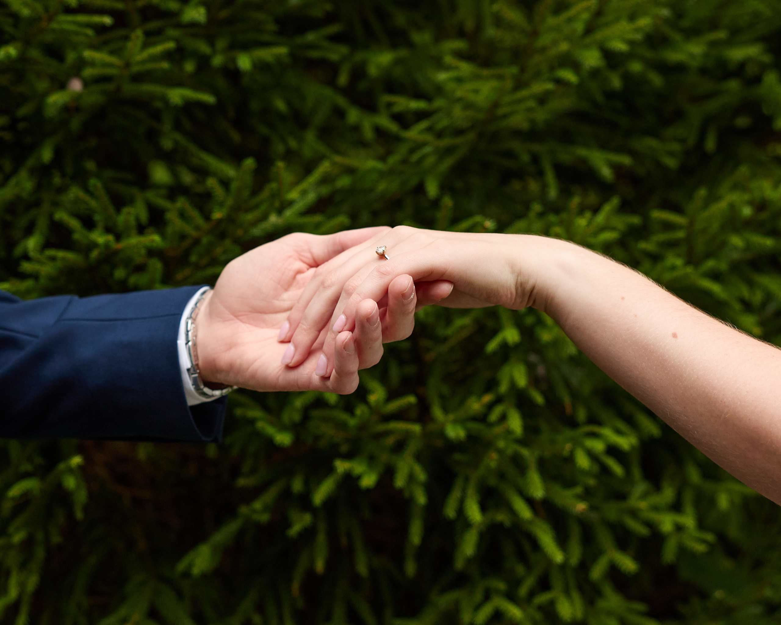 Close-up of holding hands during an engagement session at Inniswood Metro Gardens