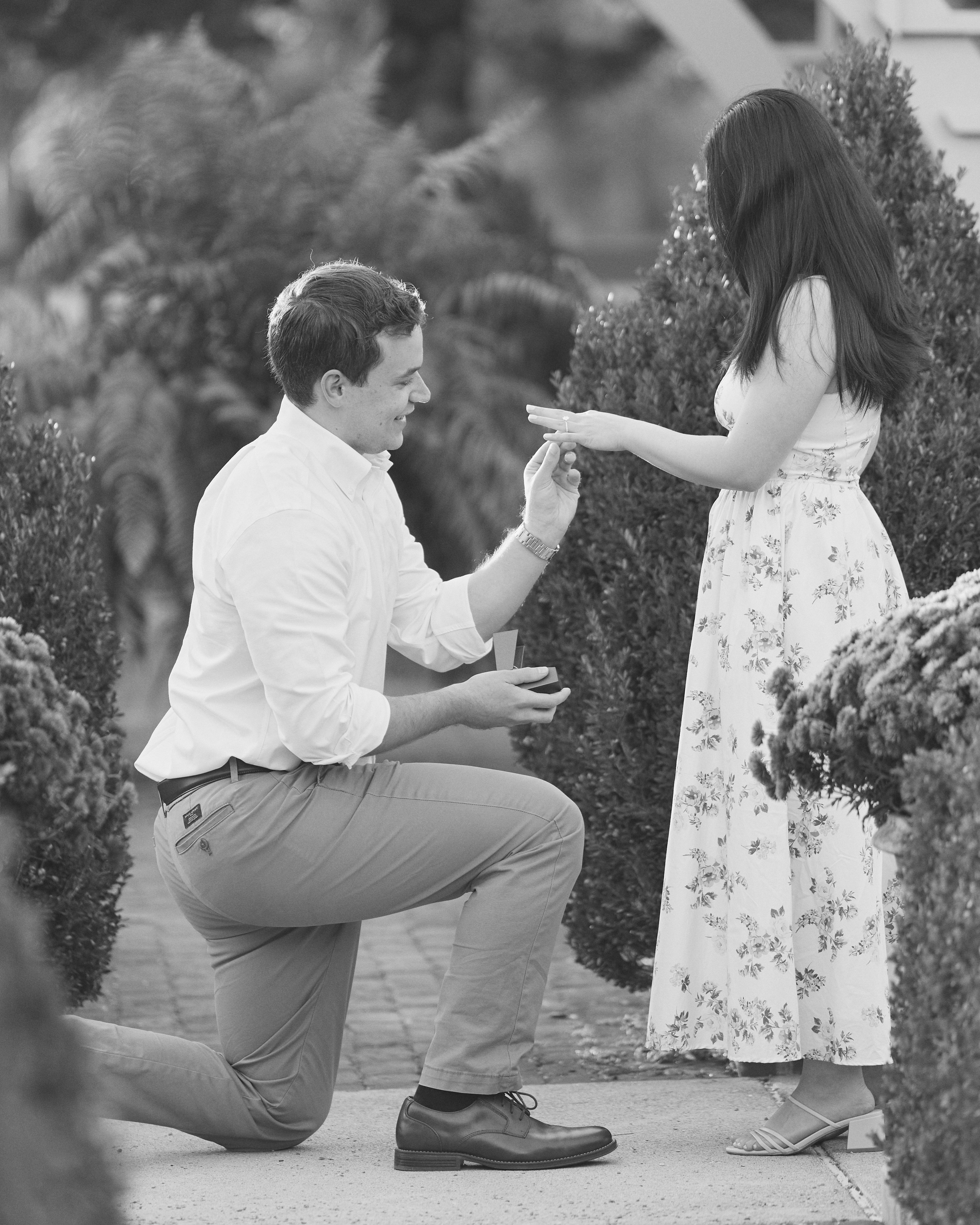 Franklin Park Gazebo Proposal | Columbus Ohio Photographer