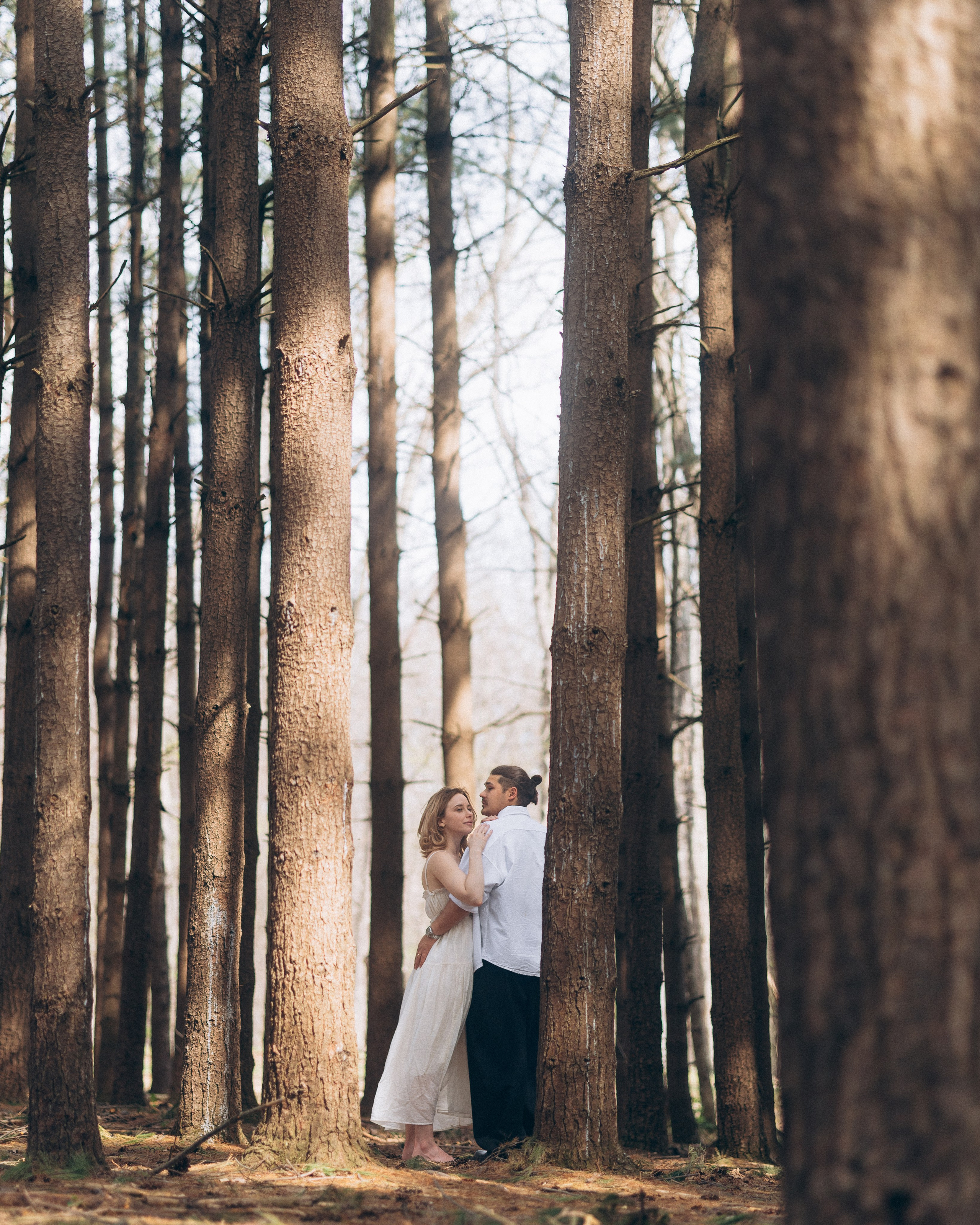 Kiss between tall pine trunks near Hoover Reservoir, Ohio