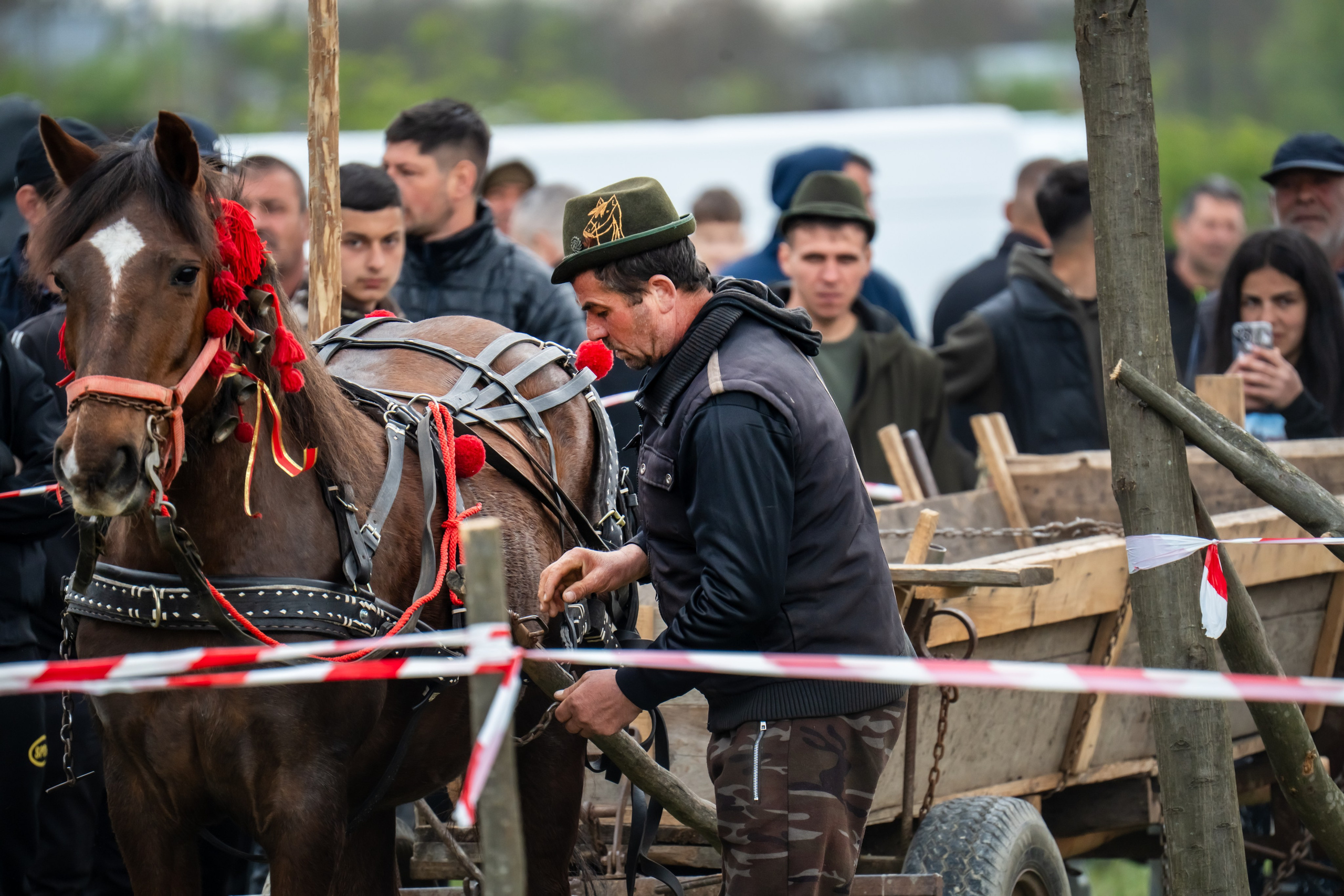 Concurs Ecvestru Vărbilău ediția a 4-a. Mihai Alexandra Events