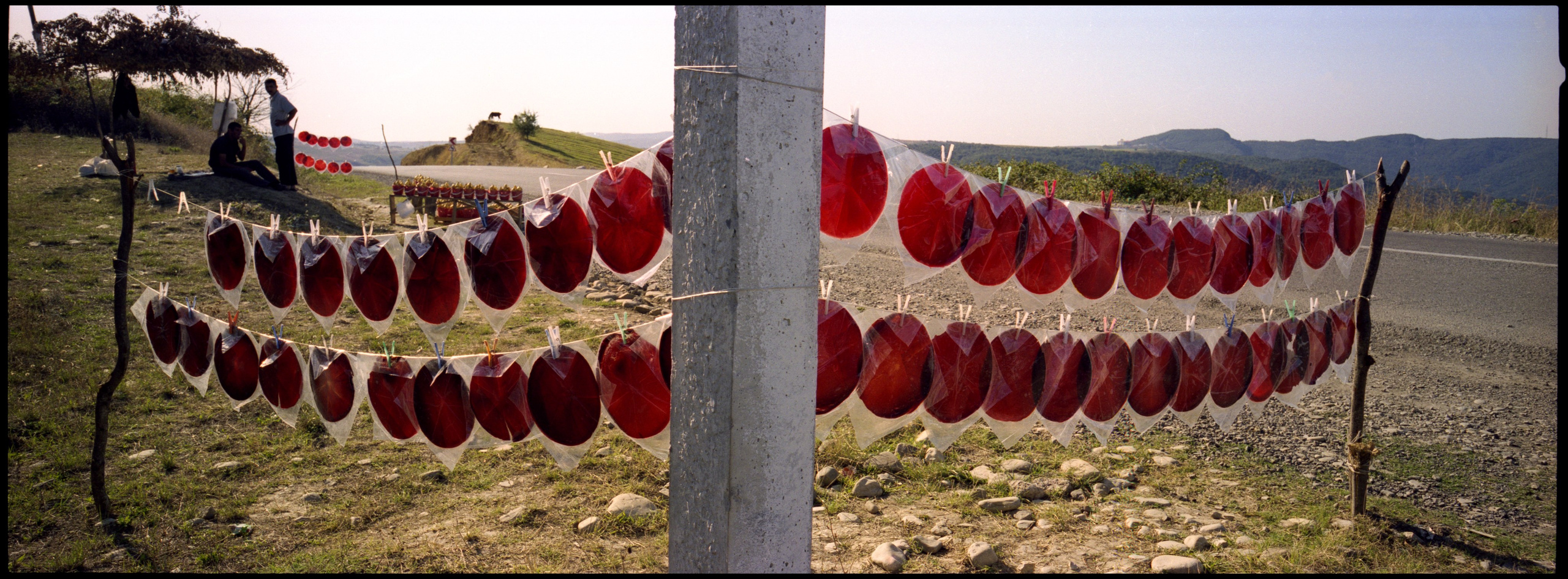 Roadside beauty. Shemakha, 2011