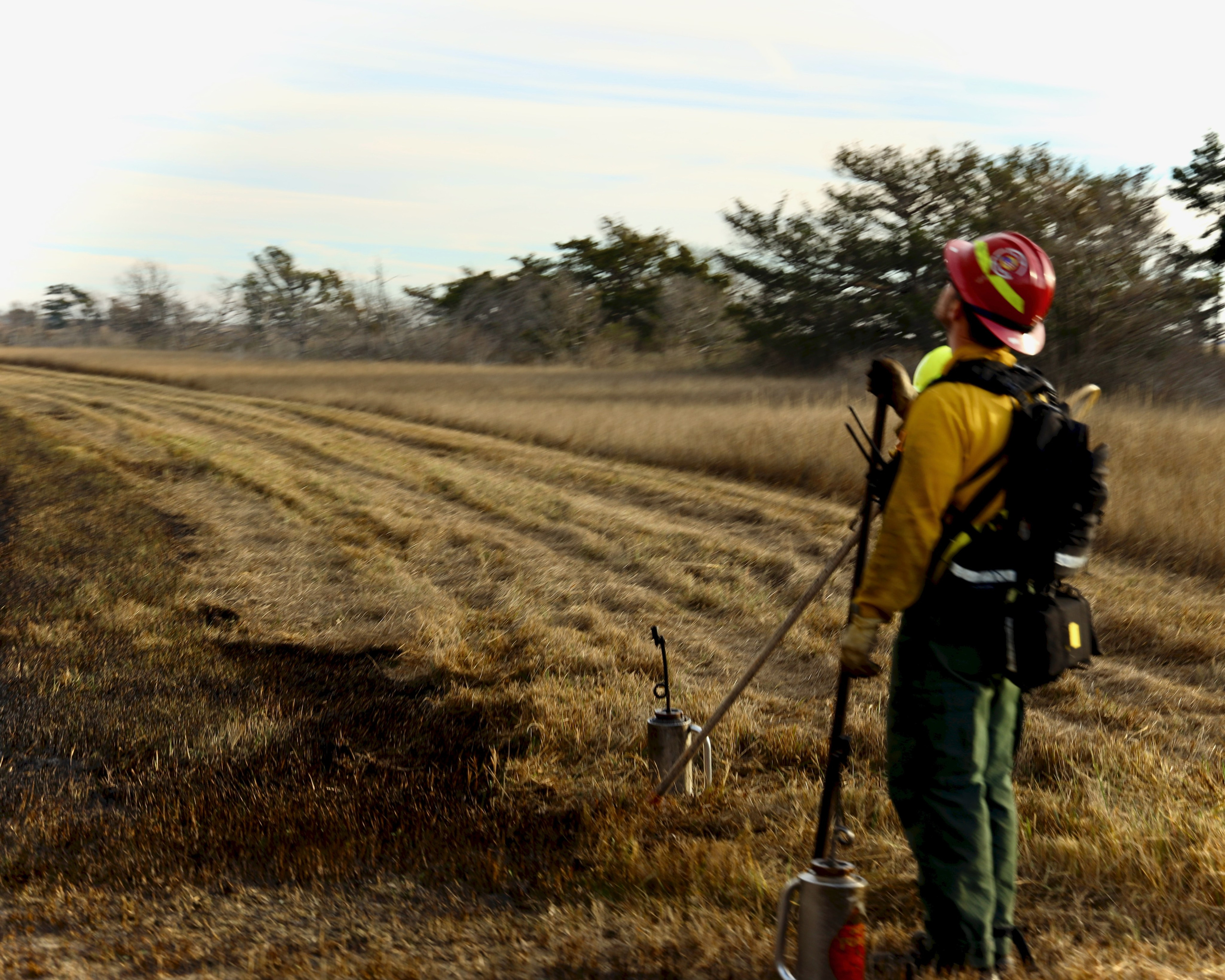 All-Day. Sonny Photos