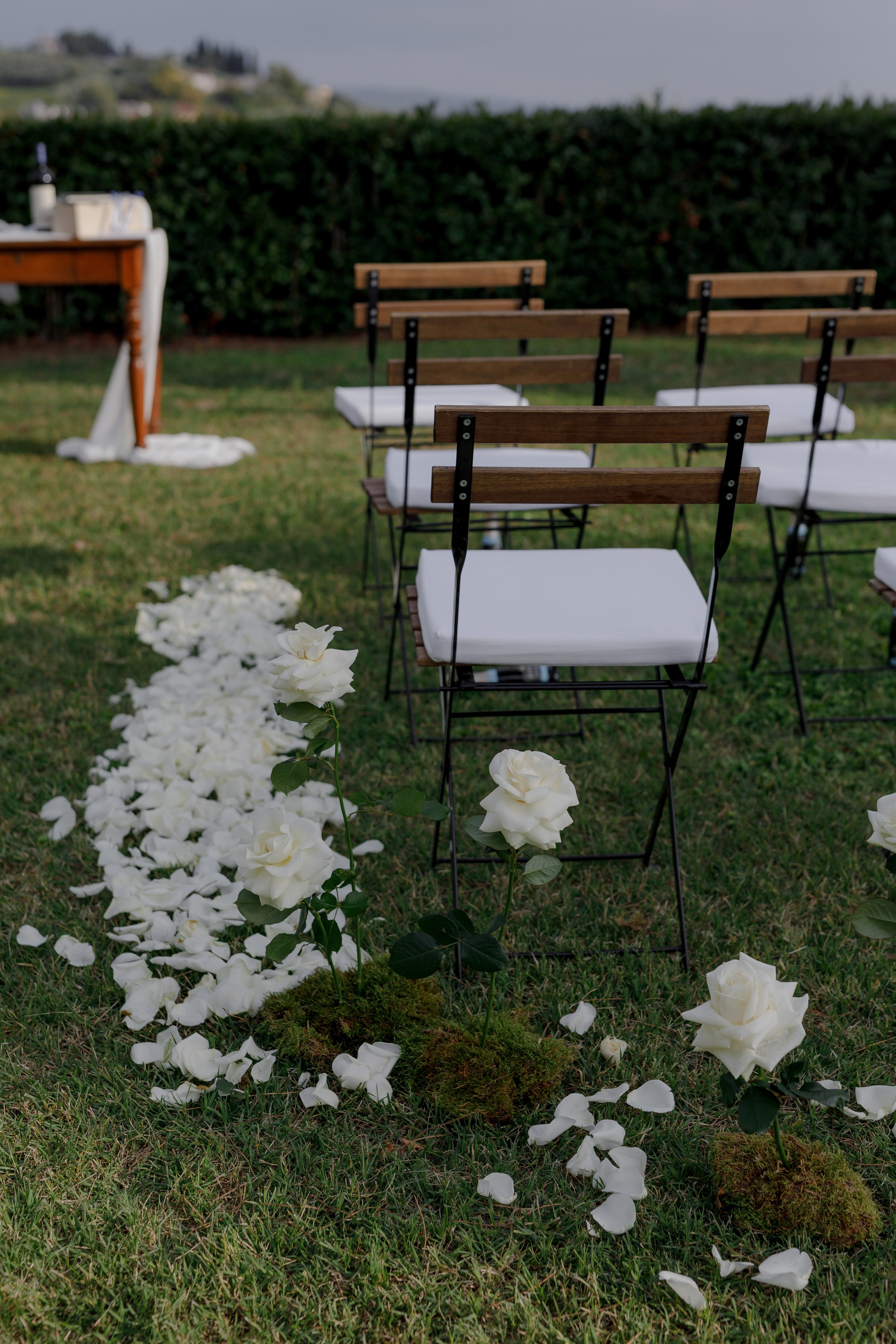 Dom&Ally. Весільний фотограф Вікторія Саврук