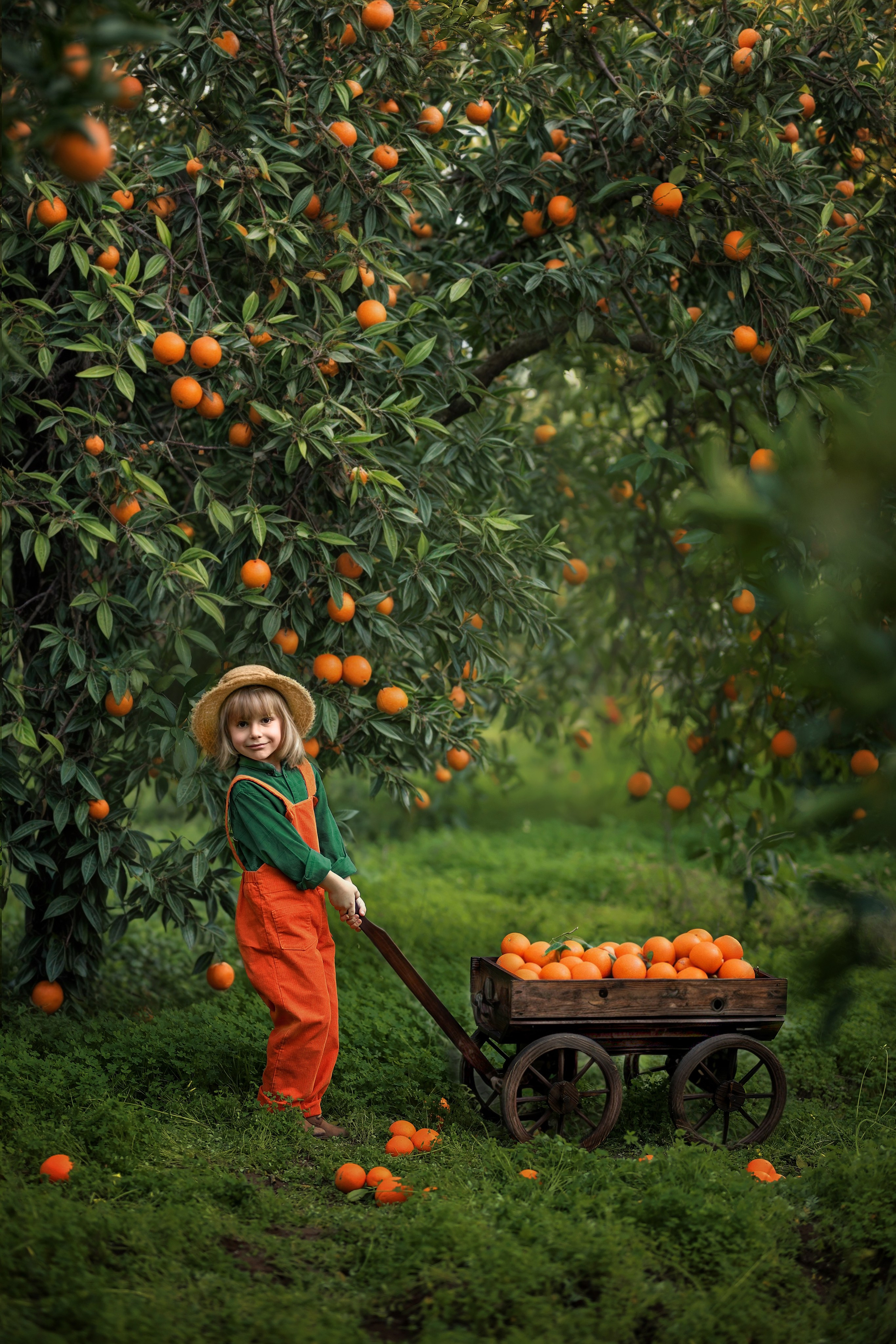 Photoshooting in orange garden. Photographer in Turkey, Antalya, Kemer, Belek, Side, Kas, Fethiye