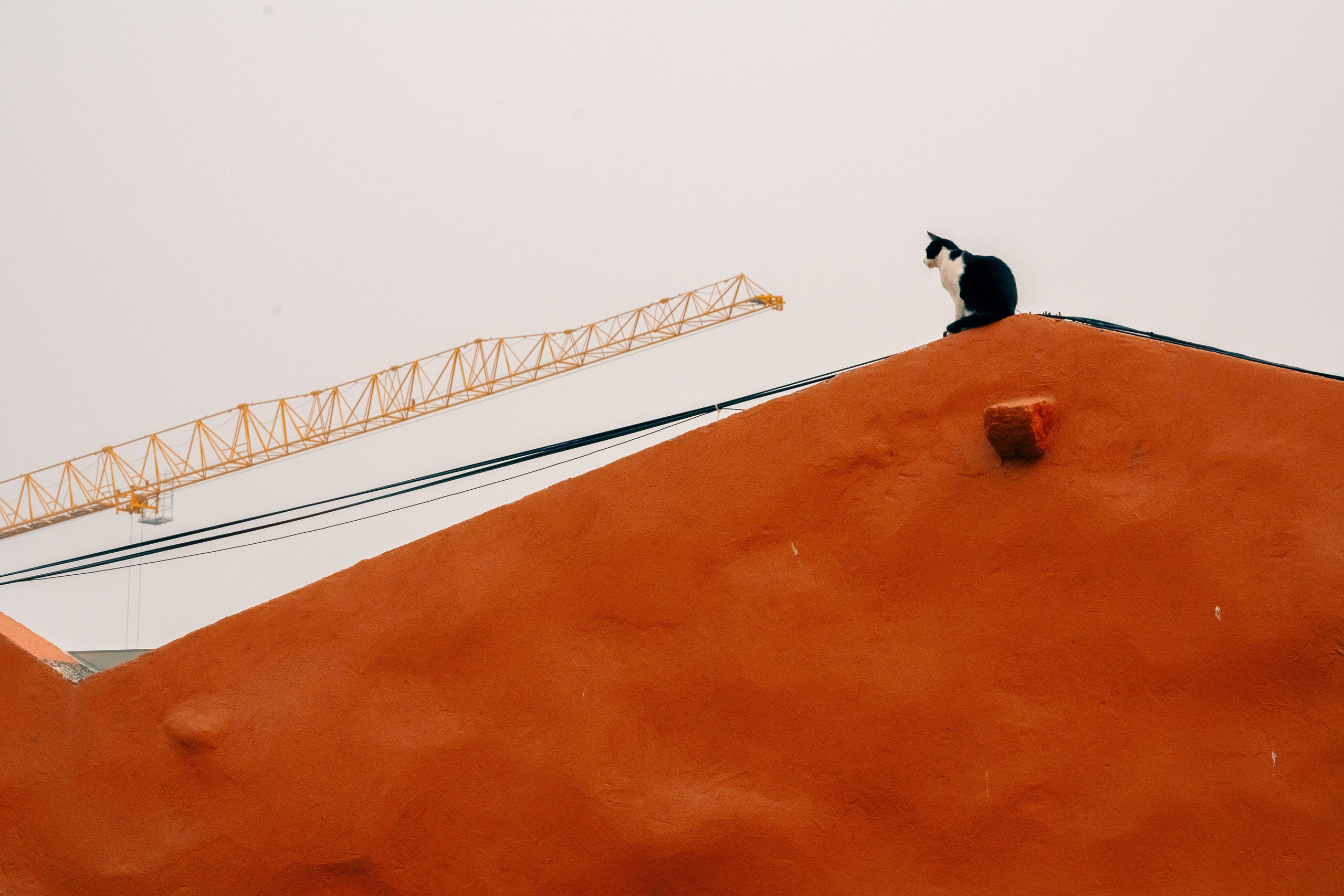 Street. Maria Sher. Professional photographer from Porto, Portugal