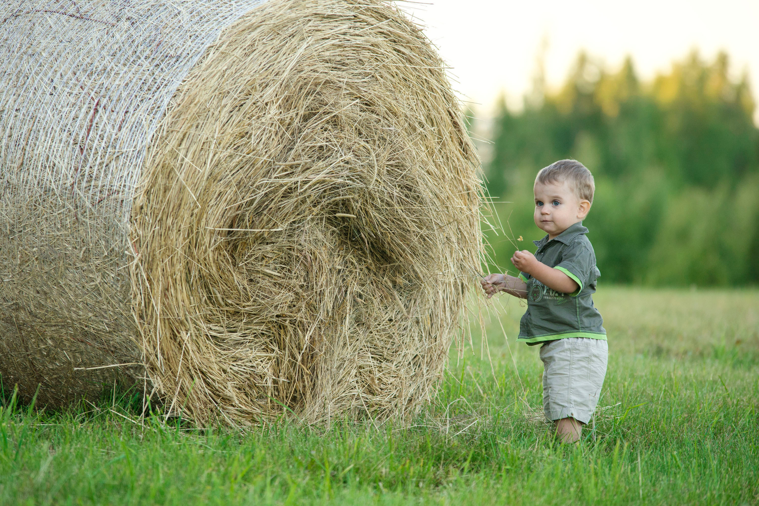 Семья / Дети. Свадебный и семейный фотограф в Даугавпилсе Павел Граблёнов