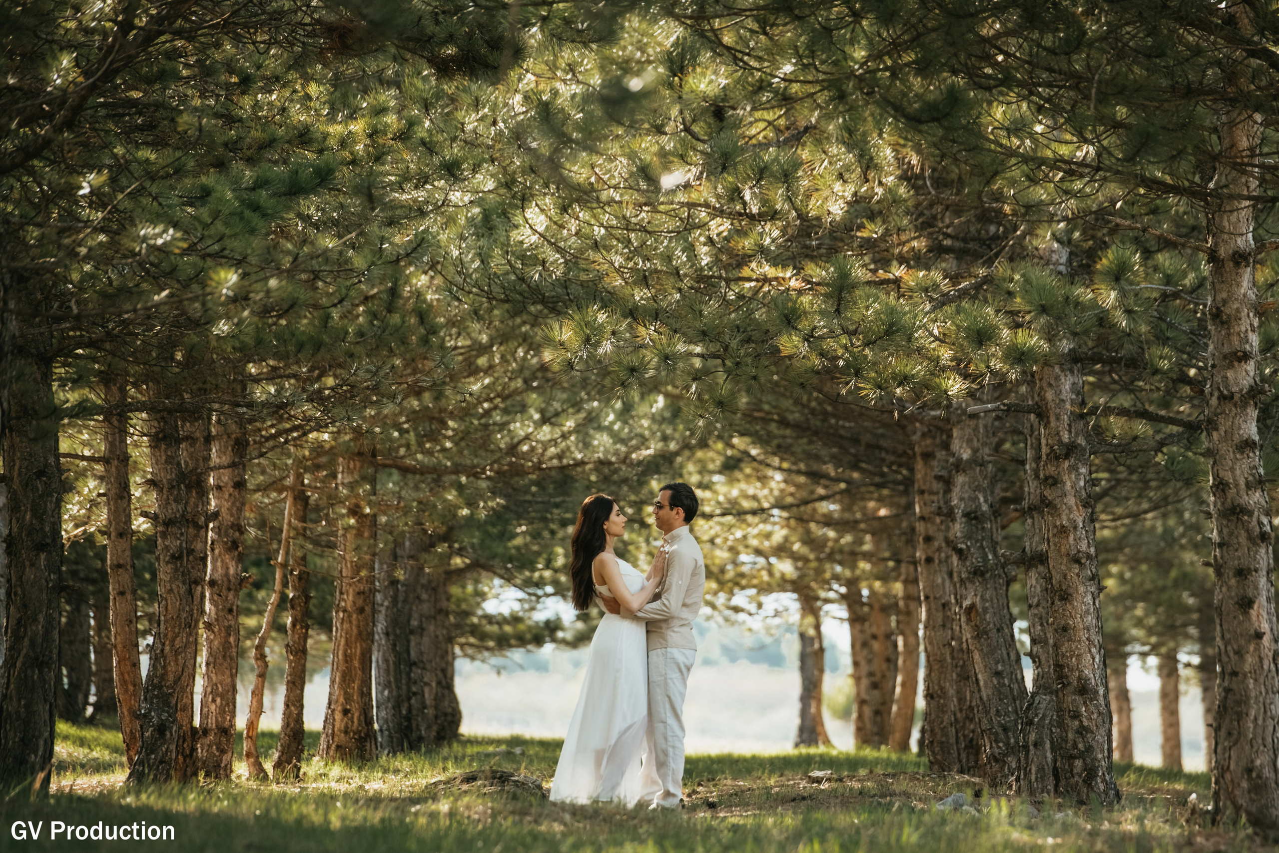 Arthur & Narine (pre Wedding). Wedding photos and video shooting in Armenia and all over the world!!! Photographer in Yerevan