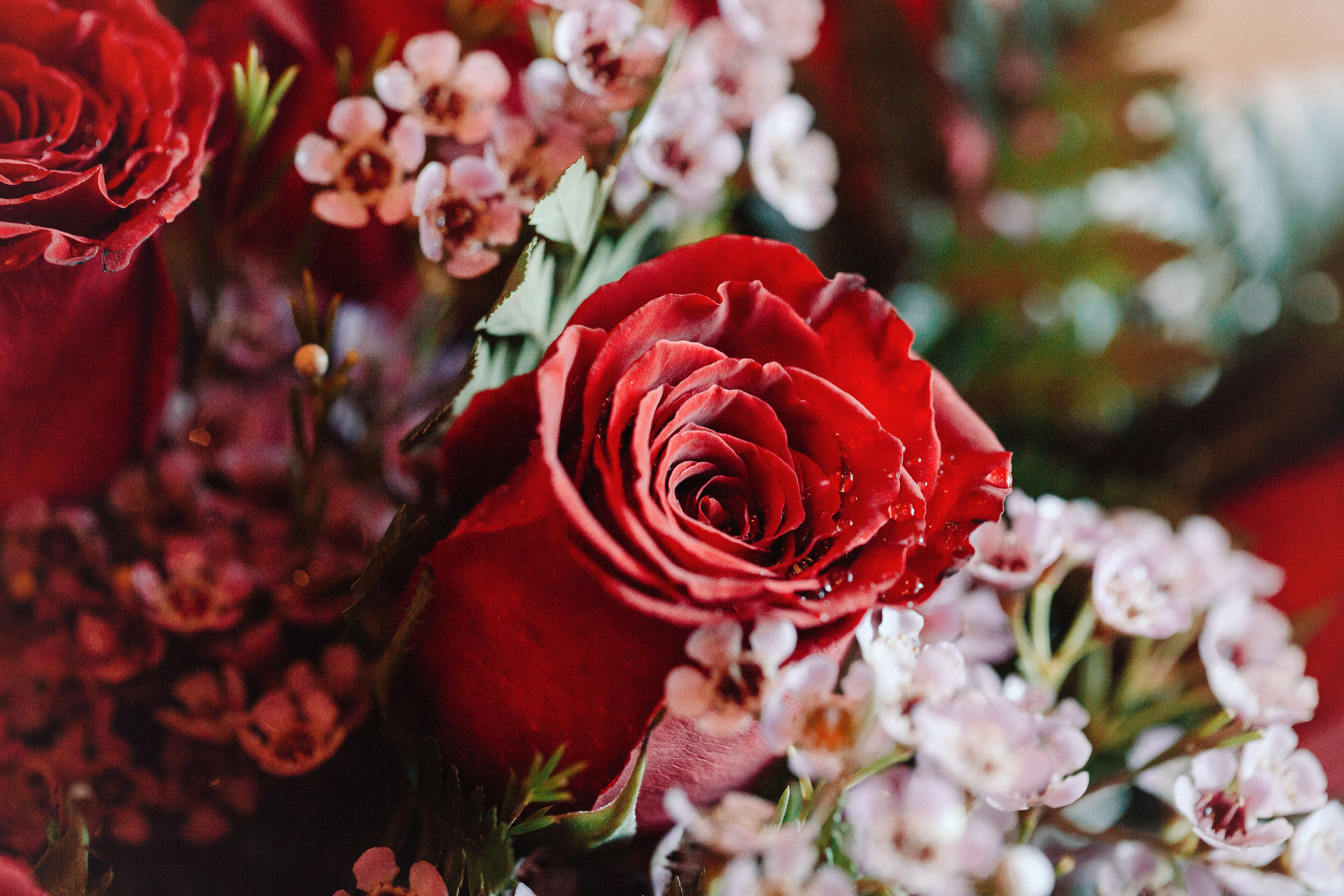 Liudmila and Dmitriy. Портретний та весільний фотограф Надія Онода