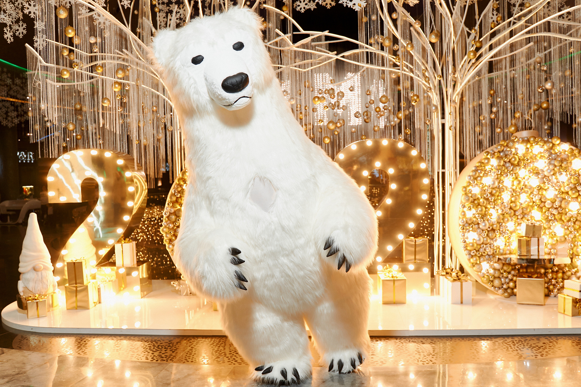 New Year party. Professional Wedding and event photographer USA New York