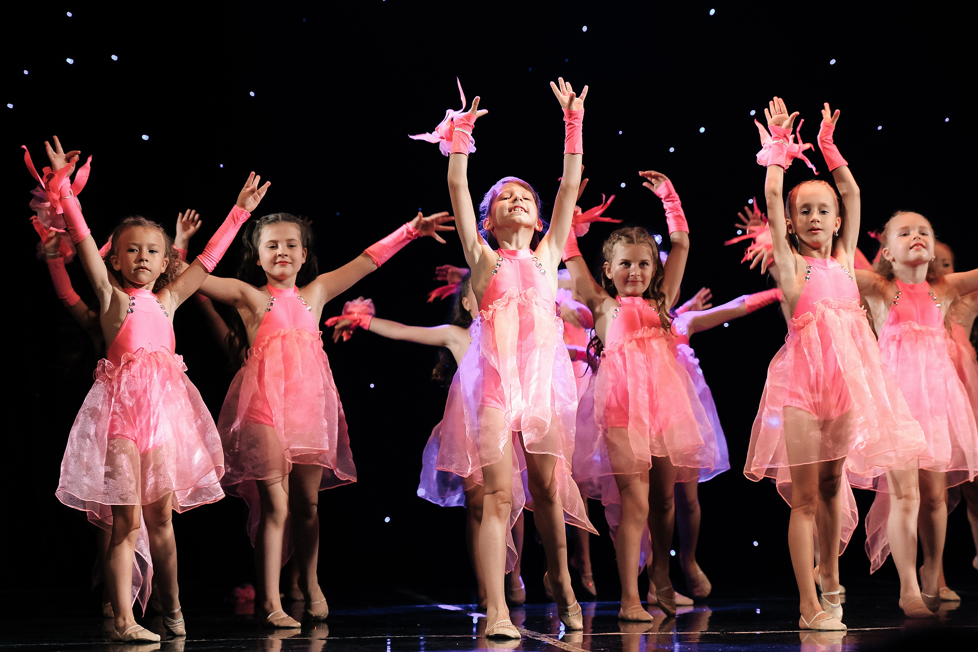 Dancing show. Professional Wedding and event photographer USA New York