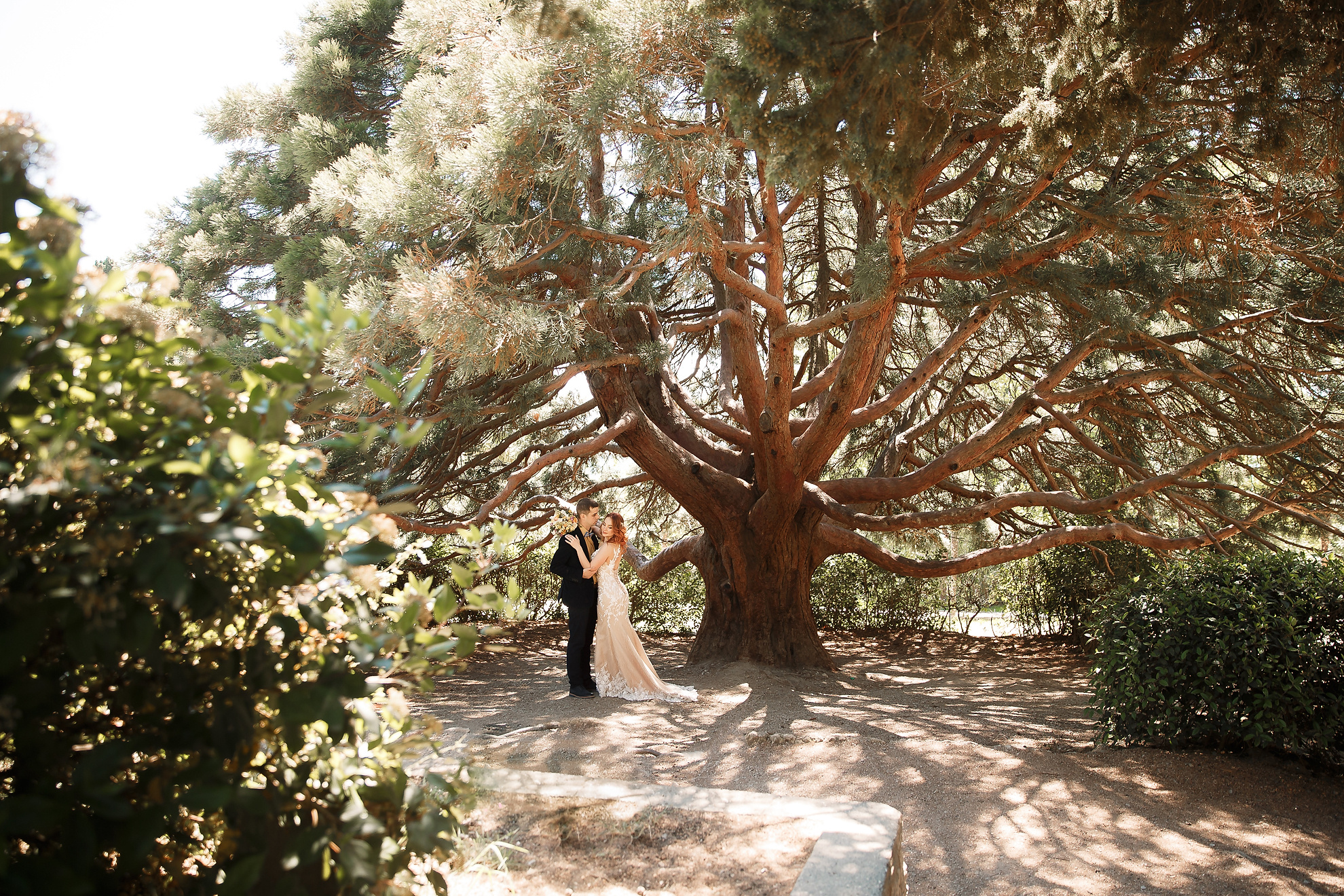 Alexander & Kate. Professional Wedding and event photographer USA New York