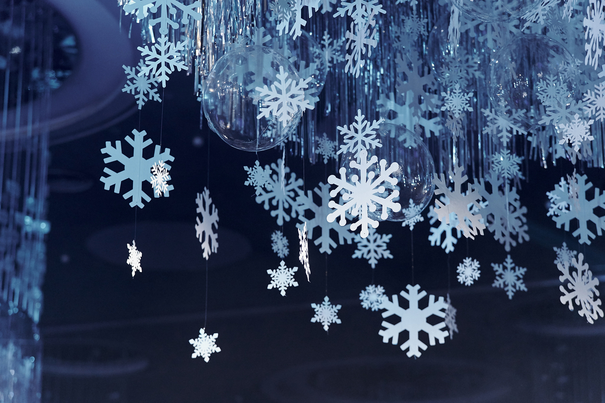 New Year party. Professional Wedding and event photographer USA New York