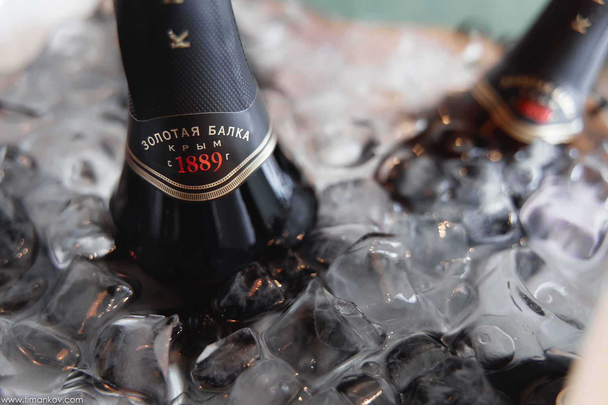 Birthday of WineRoom. Professional Wedding and event photographer USA New York