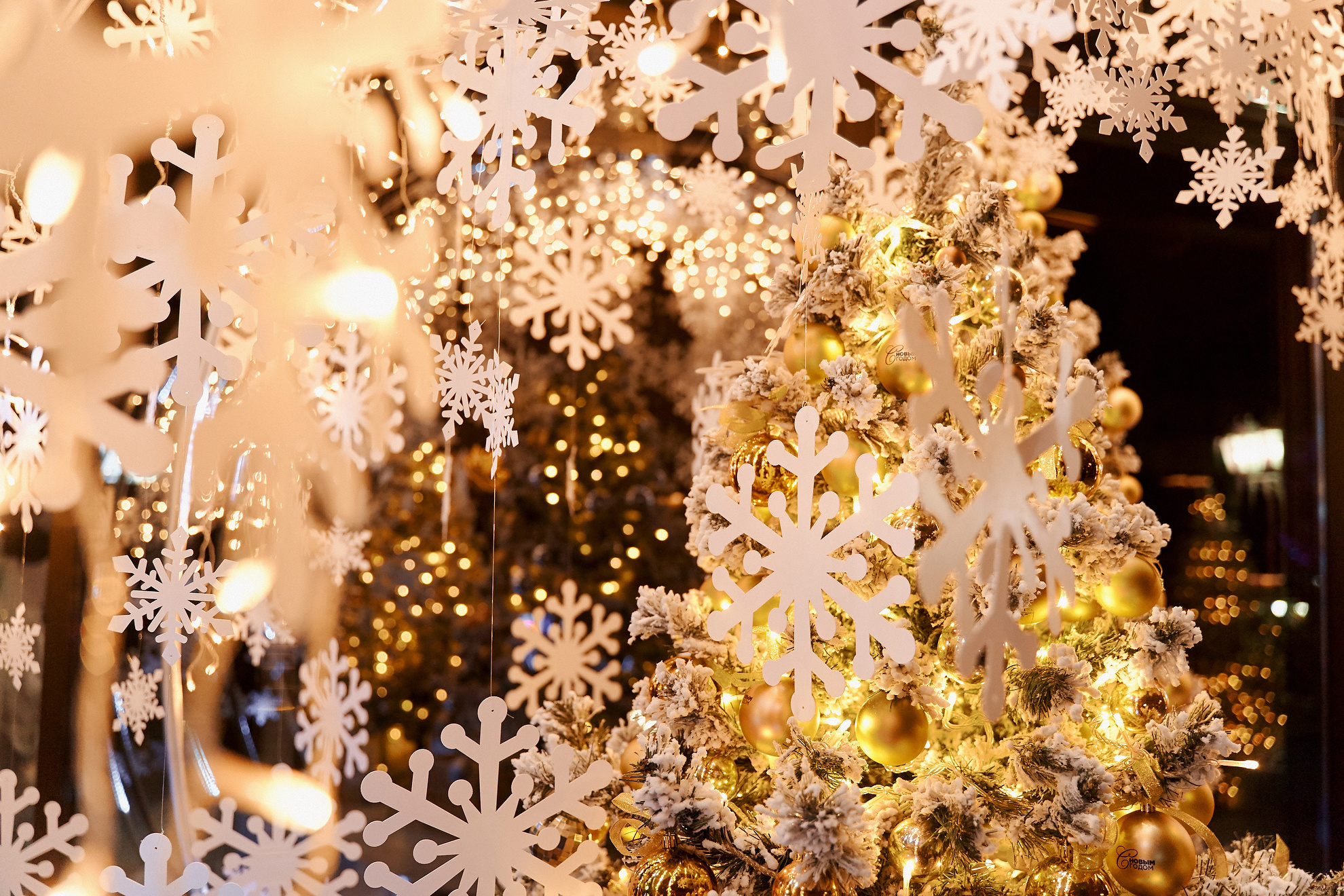 New Year party. Professional Wedding and event photographer USA New York