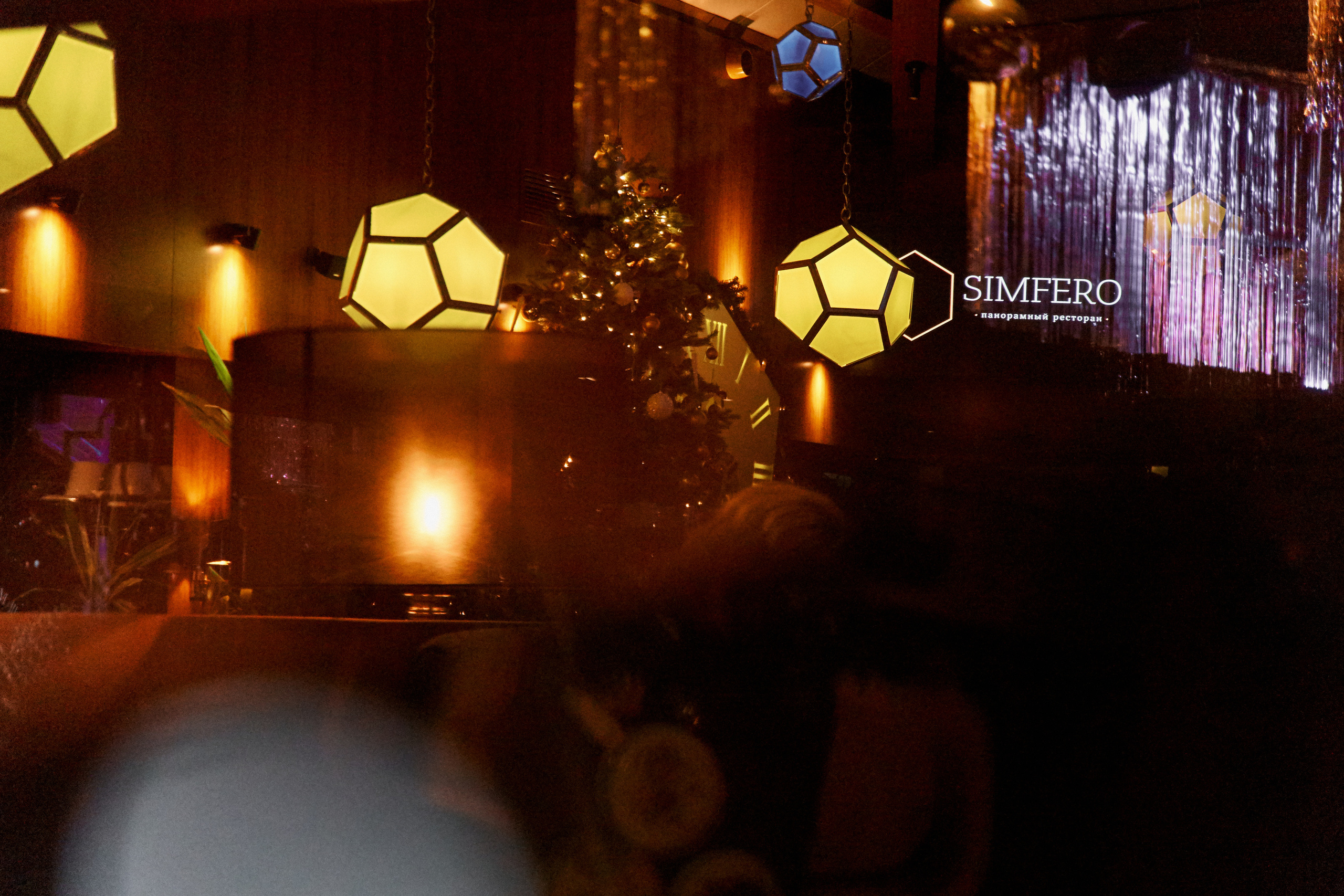 Corporate party. Professional Wedding and event photographer USA New York