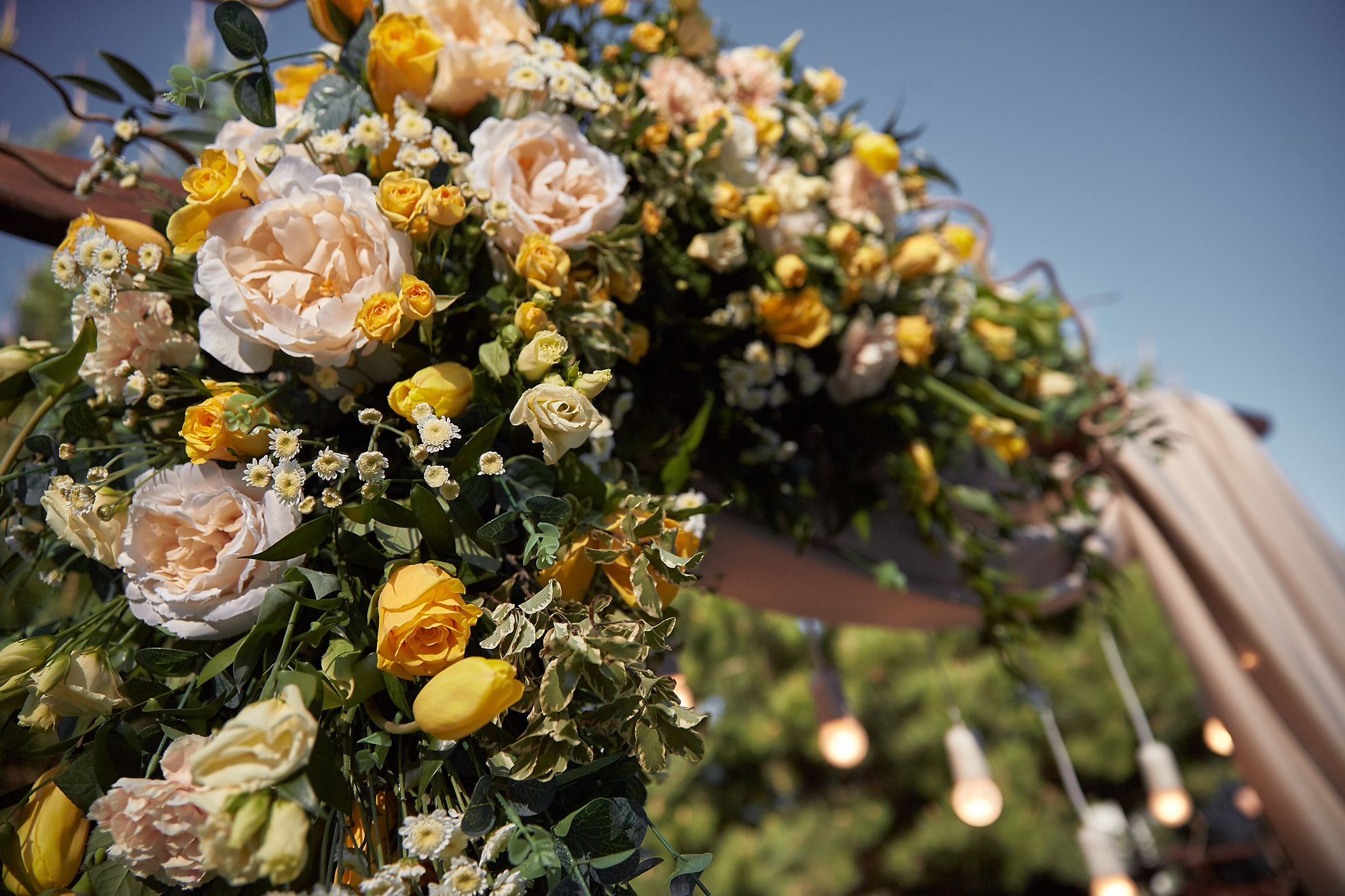 Alexander & Kate. Professional Wedding and event photographer USA New York