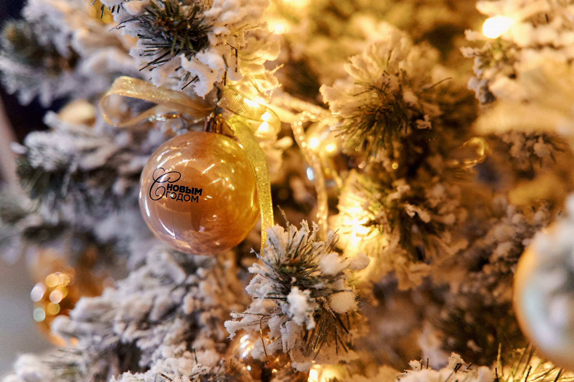 New Year party. Professional Wedding and event photographer USA New York