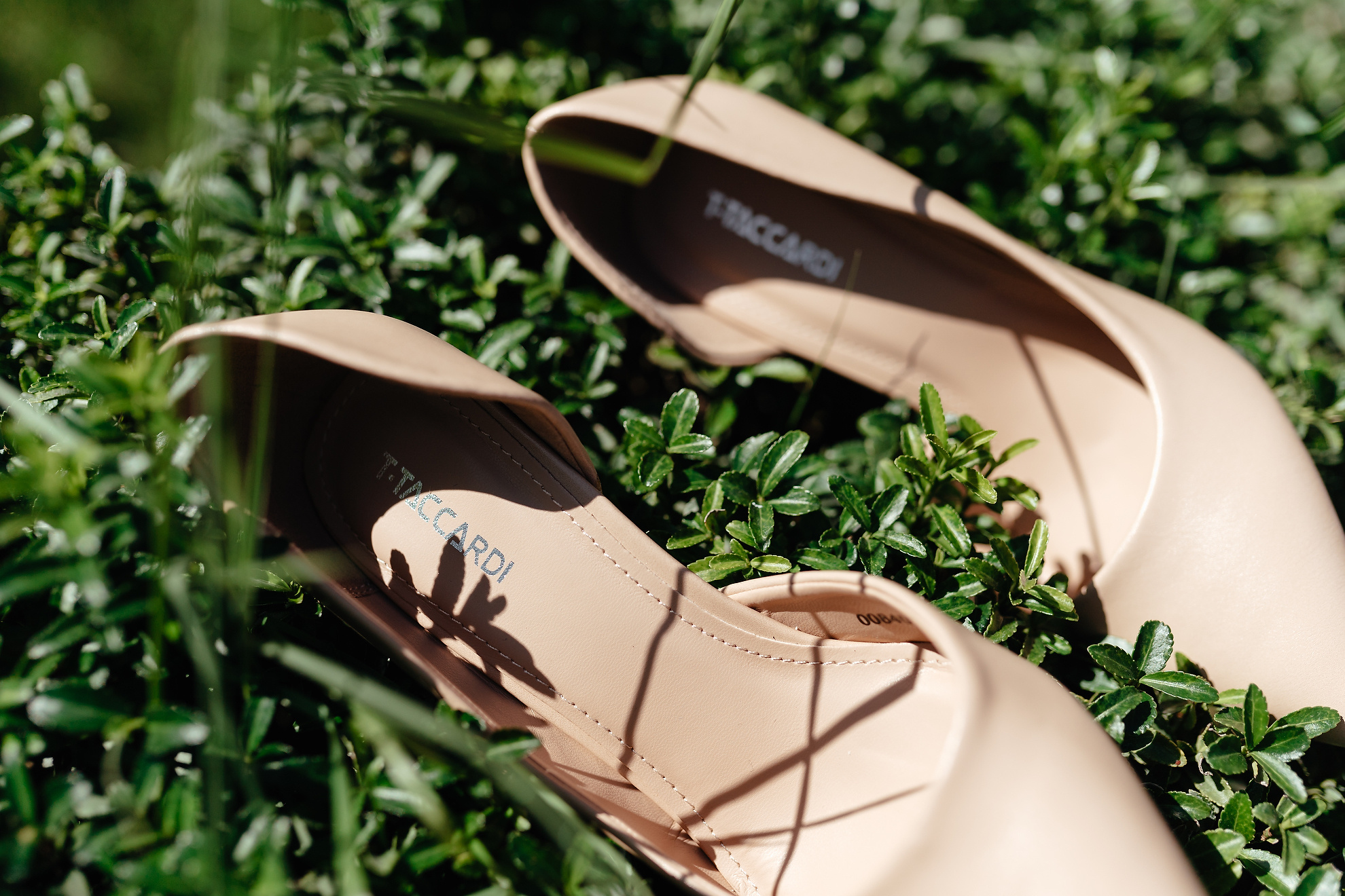 Dmitry & Nadya. Professional Wedding and event photographer USA New York