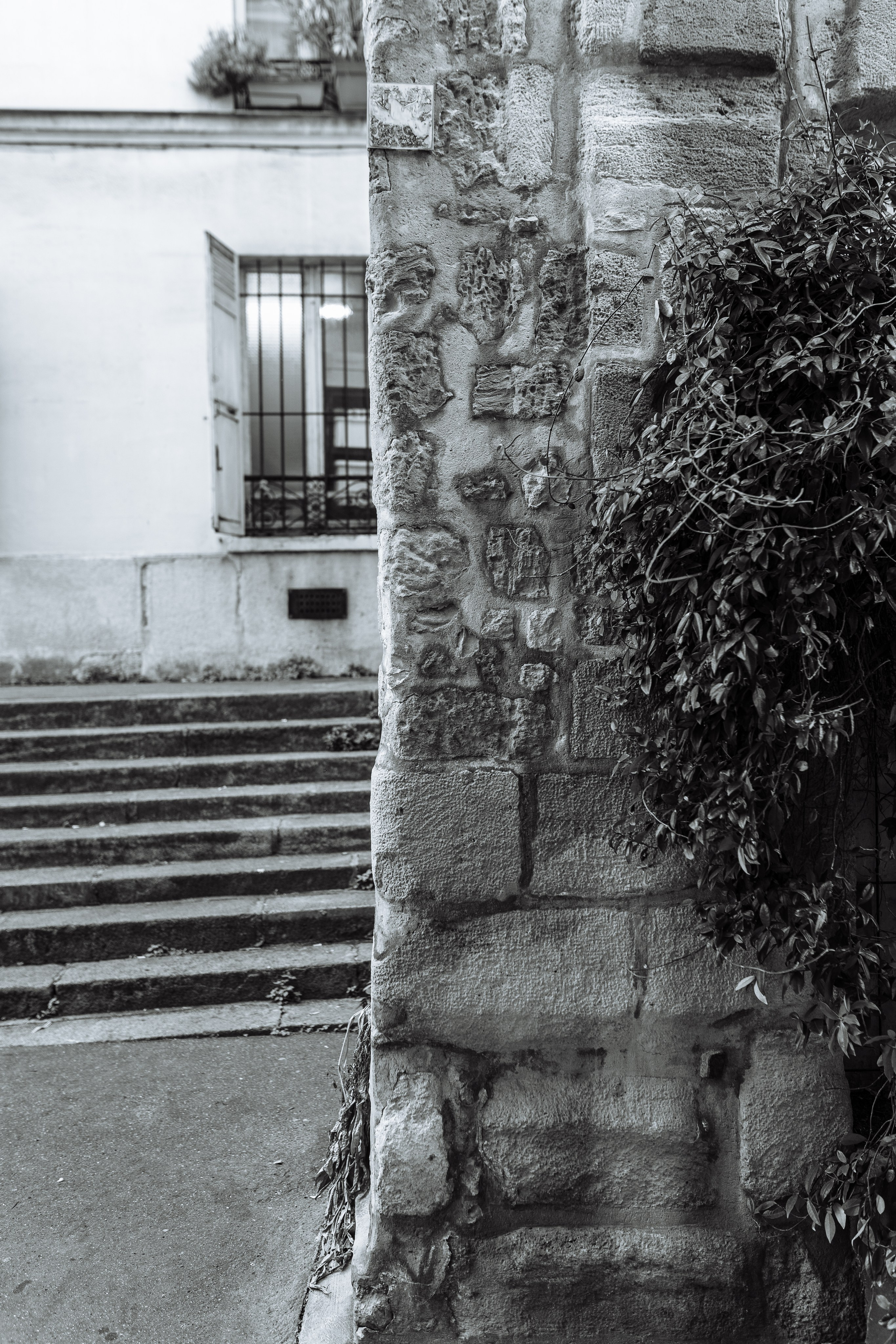 СЪЁМКА СЕБЯ_НОВЫЙ МОСТ, СИТЕ и СЕН-ЛУИ