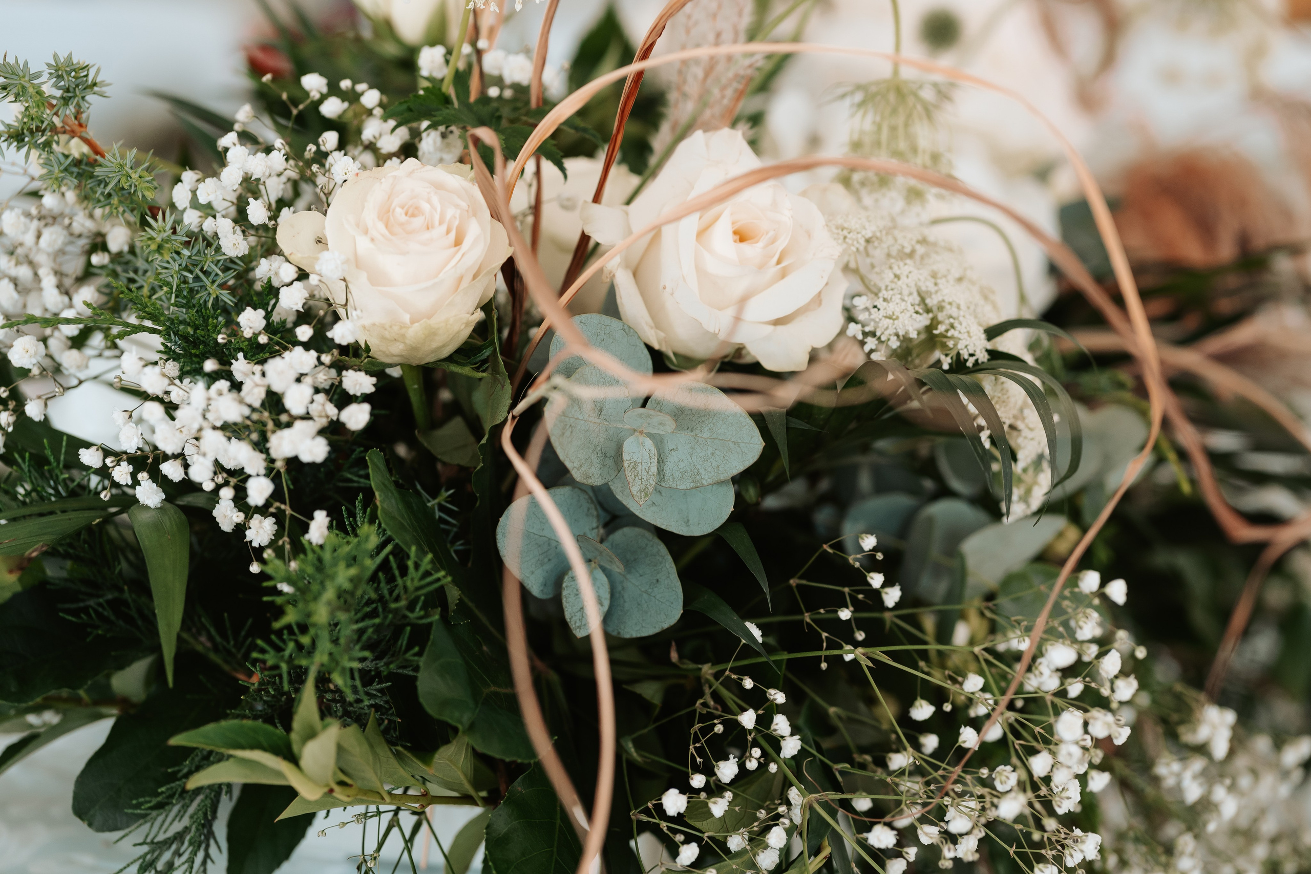 S&D. Montenegro photographer and videographer