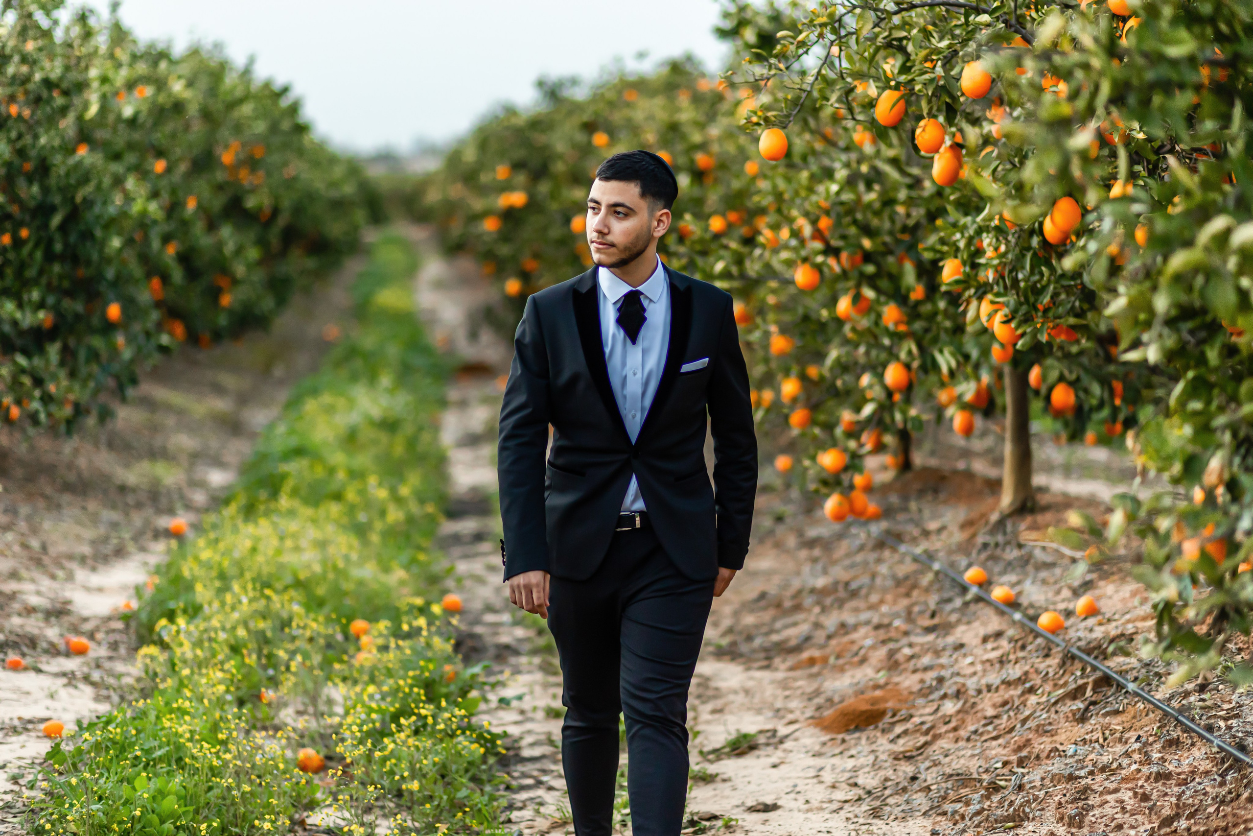 N&S. משה מנשה צלם חתונות