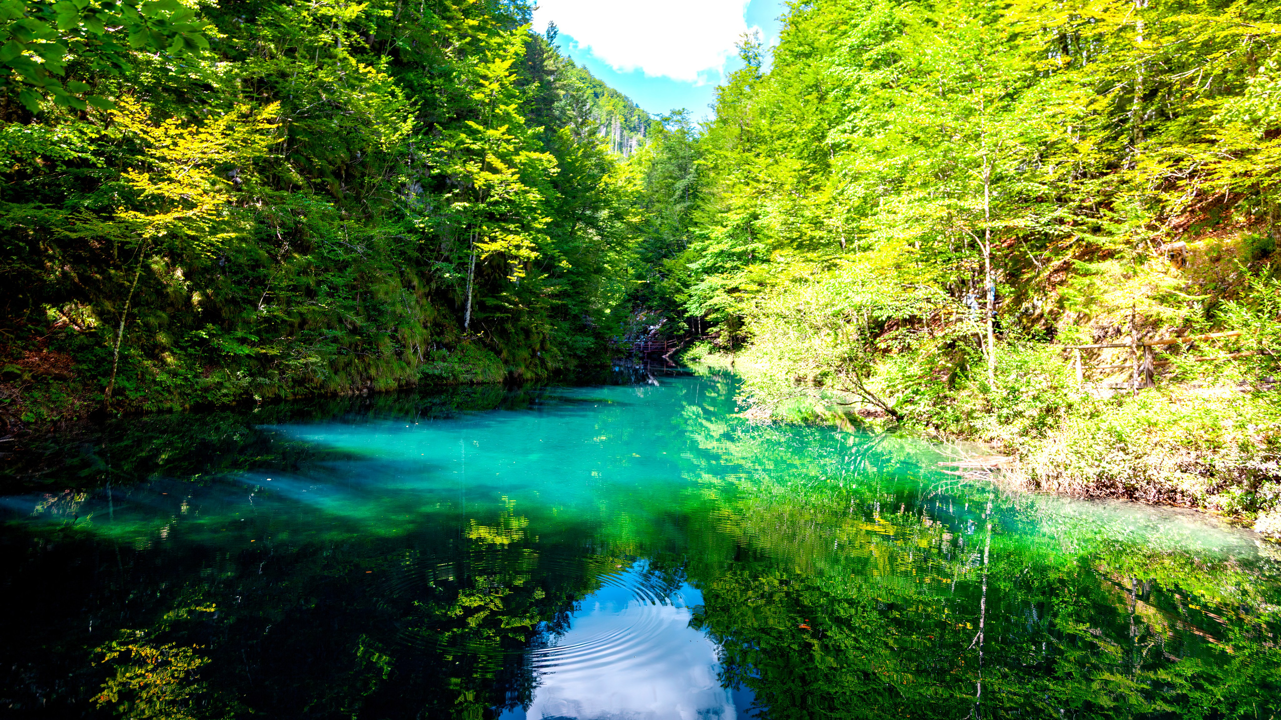 194.Mendlingtal.Austria.19.8.2025. Путешествия в формате 360......