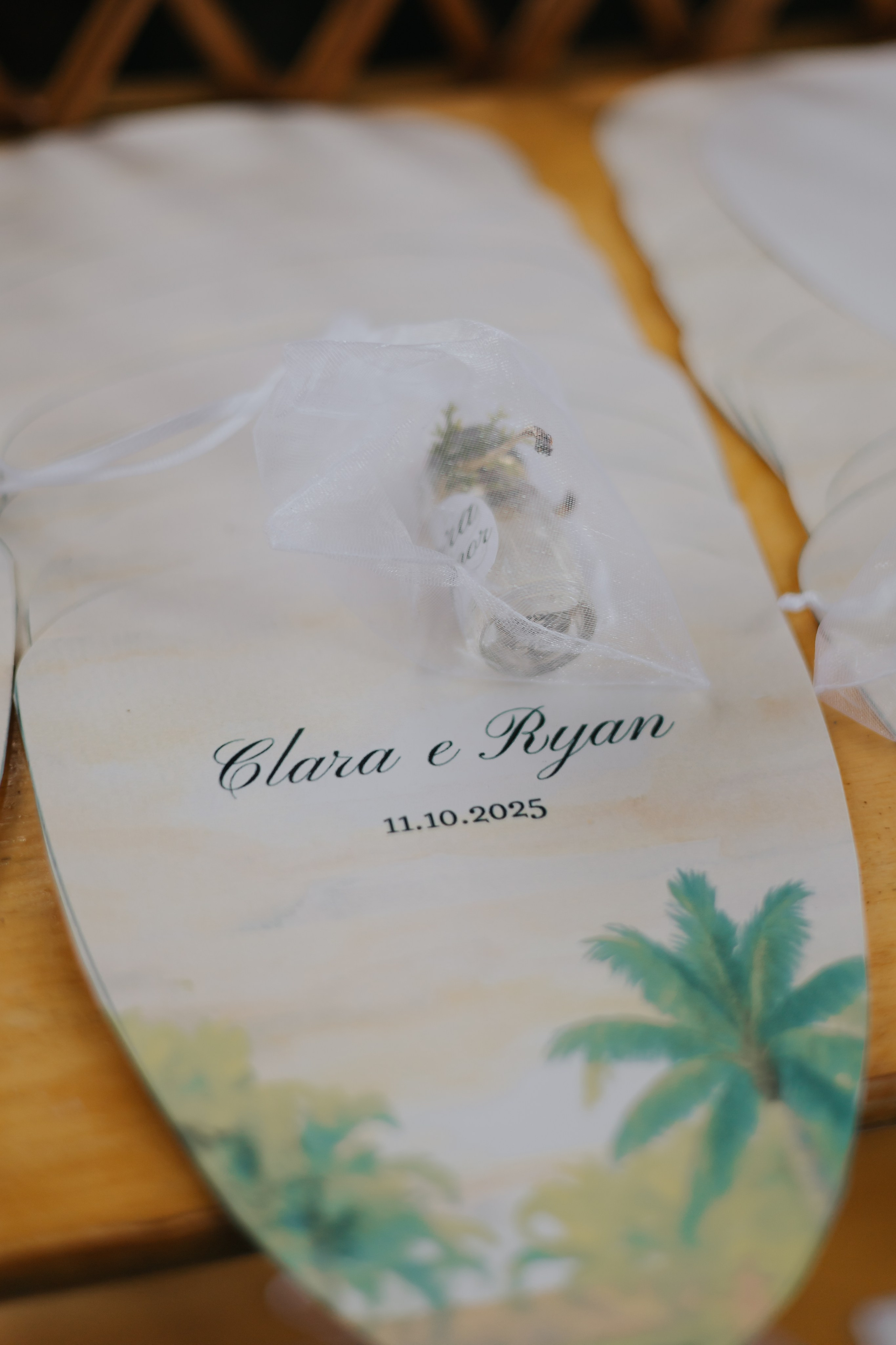 Clara & Ryan. Fotógrafo de Casamentos na Bahia — Richard Silvestre