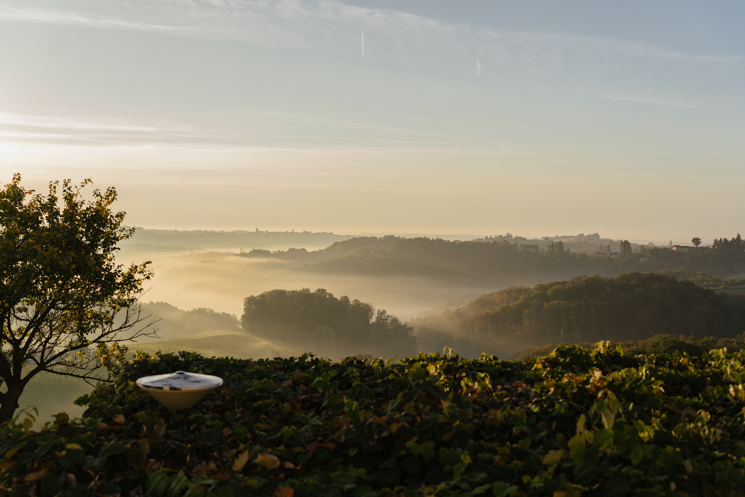 A dreamy scenery. Patricia Morenci — Mountain Adventures for the Wild at Heart