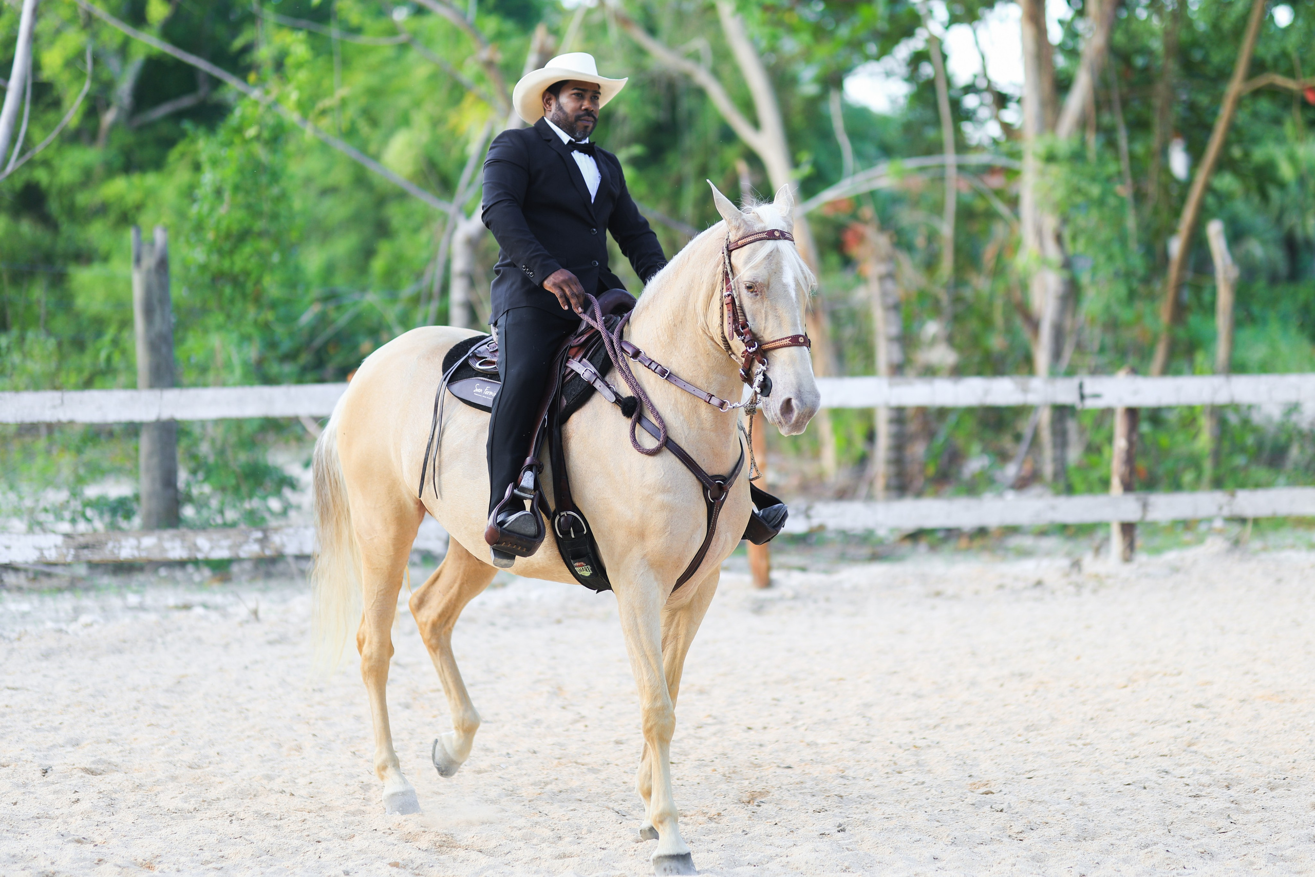 Criadero AC - Documental. VisualAvalon